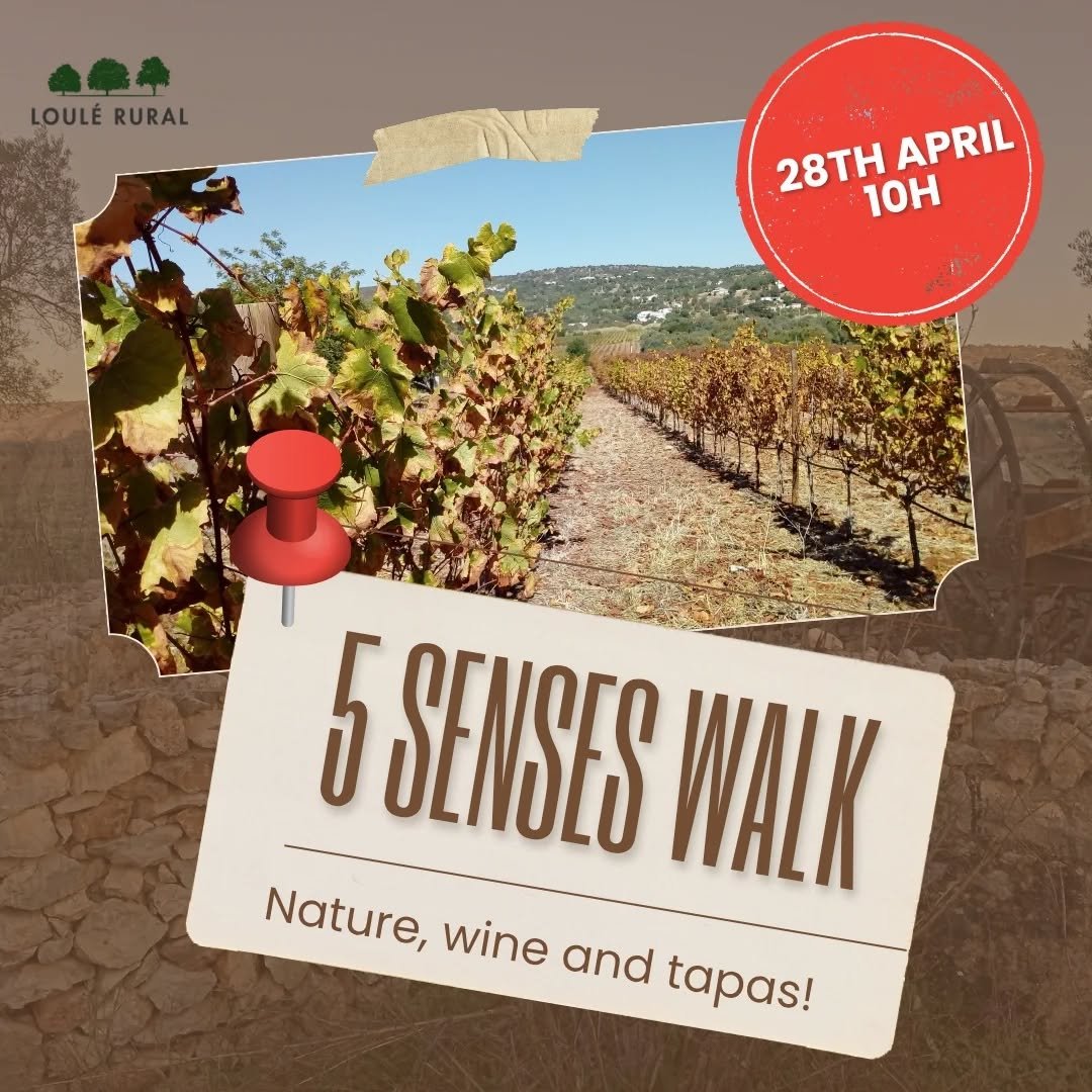 🌈 Let's walk in the surroundings of the Quinta da Tôr vineyards with all our 5 senses open! Listen to the birds and insects, feel the freshness of the stream and its aromas, observe the nature and taste the wines of the Algarvian Barrocal!
👉
