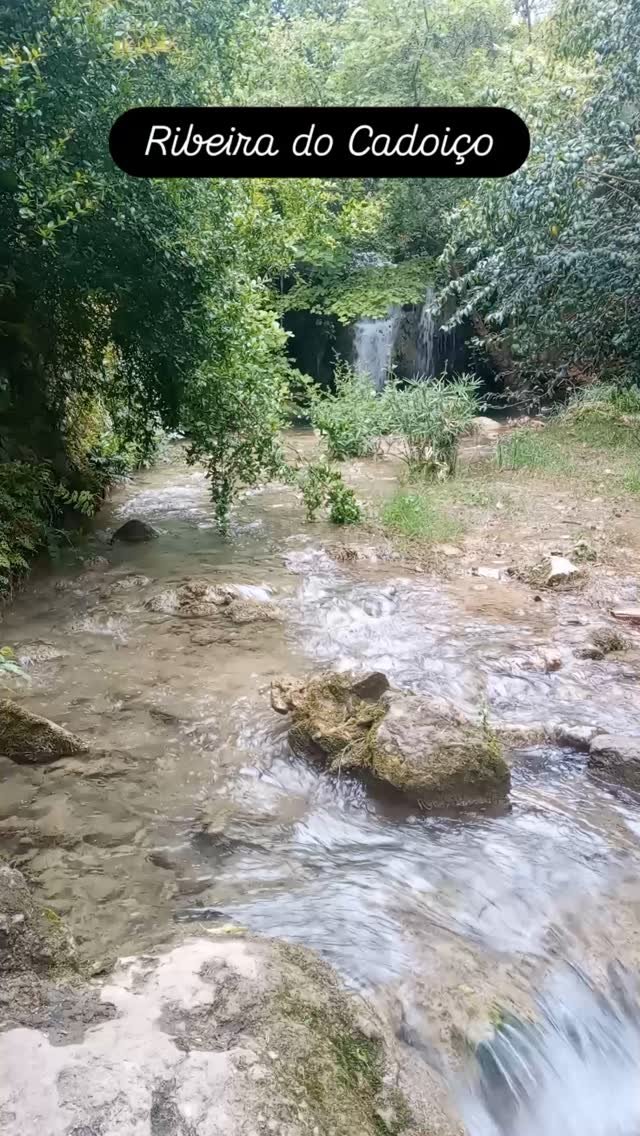 🐞 E foi assim o nosso pequeno passeio "Entre os Pomares de Sequeiro e a Quinta do Rosal" - levámos a equipa resistente de @portobay a conhecer um pouco da zona Rural de Loulé, a importância da proteção dos