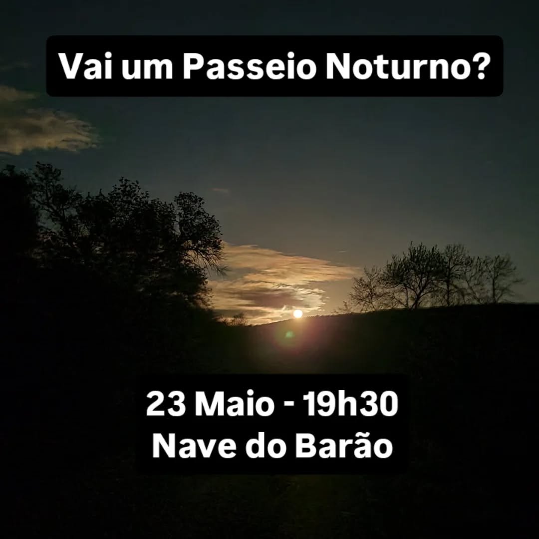 🌕 Vamos ver quem sai da toca à noite?
Lançamos o desafio de caminhar de ouvidos atentos, ao som dos nossos passos, adivinhar quem partilha a noite connosco na Nave do Barão.
Após uma caminhada fácil de cerca de 1h,