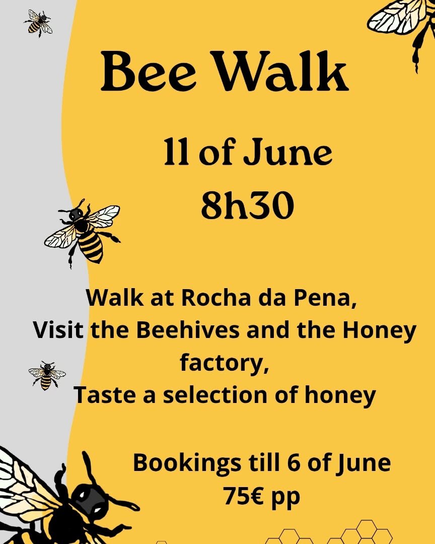 🐝 Shall we walk with the bees?
We will take a 1h30 interpretive walk, from Rocha da Pena to the Honey Factory. Here we are welcomed by the local family of beekeepers, who will guide us through this magical world of bees, and the path of honey from t