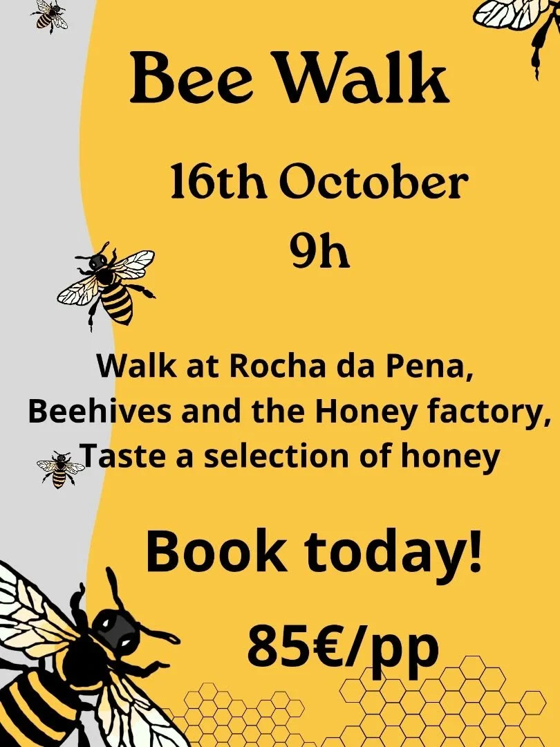 🐝 Venha caminhar com as abelhas! 
👉 Passeio f&aacute;cil na Rocha da Pena, Salir
👉 Visita &agrave;s colmeias e f&aacute;brica do mel
👉  Degusta&ccedil;&atilde;o de mel

🚨 &Uacute;ltimas inscri&ccedil;&otilde;es HOJE! - envia mensagem para mais i