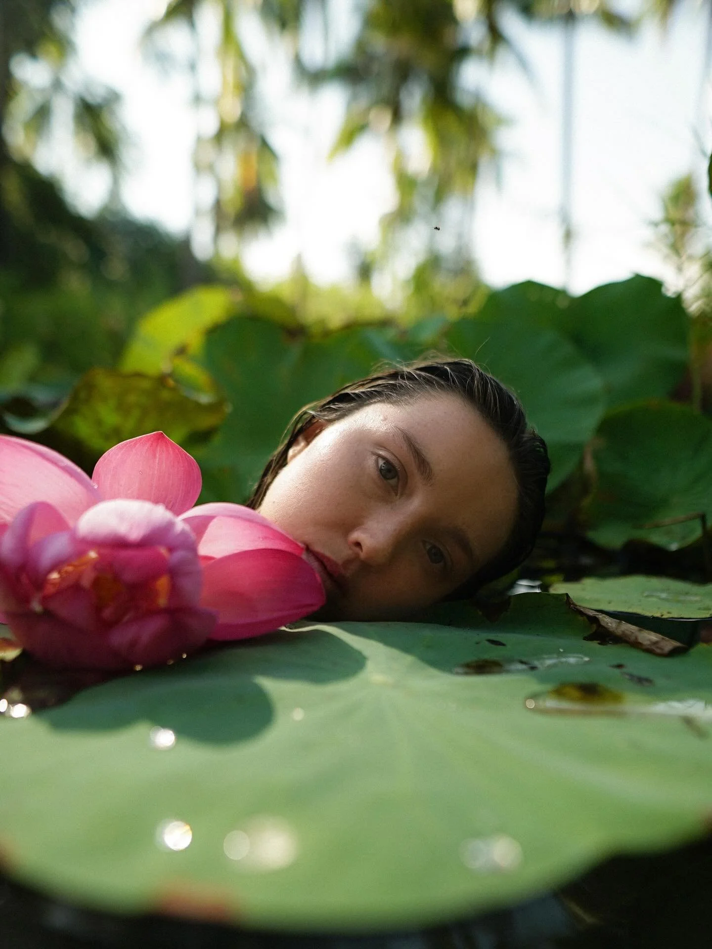 I love that lotuses bloom in such mucky waters. Such a lovely reminder that growth &amp; beauty can come from messy places🪷🖤

I wasn&rsquo;t planning to be in any photos this day but @girl.eats.sun spontaneously asked me if I wanted to get some sho