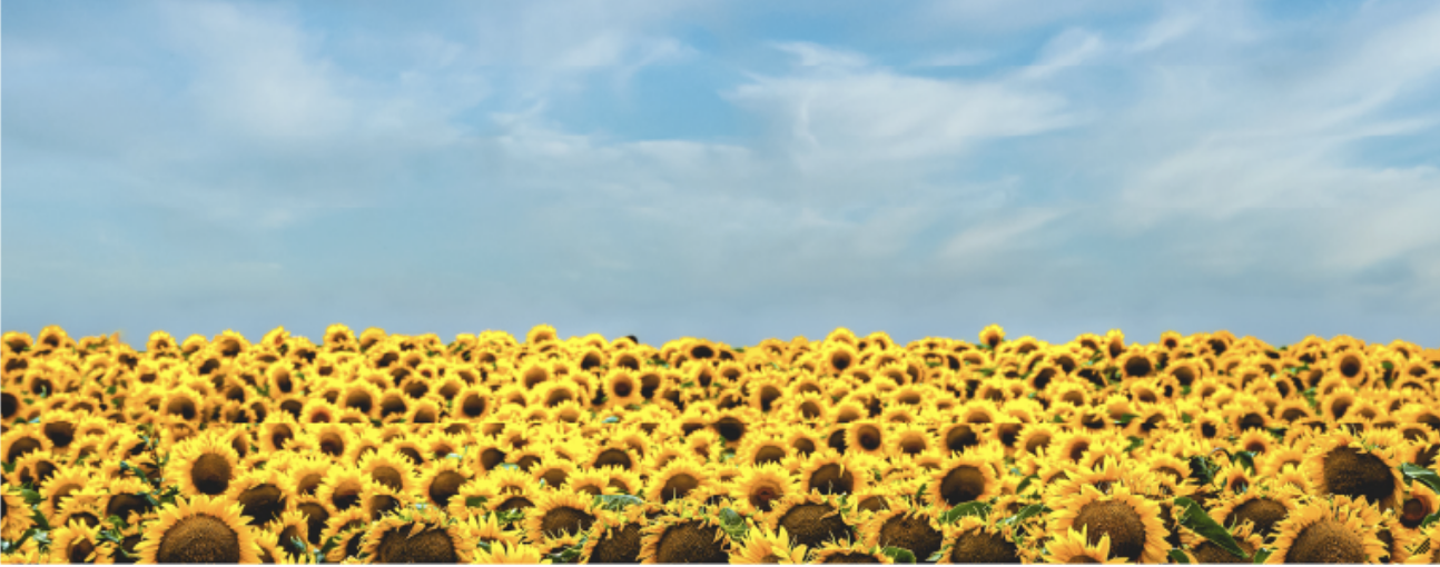 July Newsletter