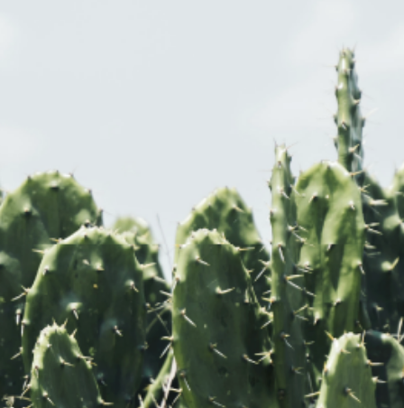 August Newsletter