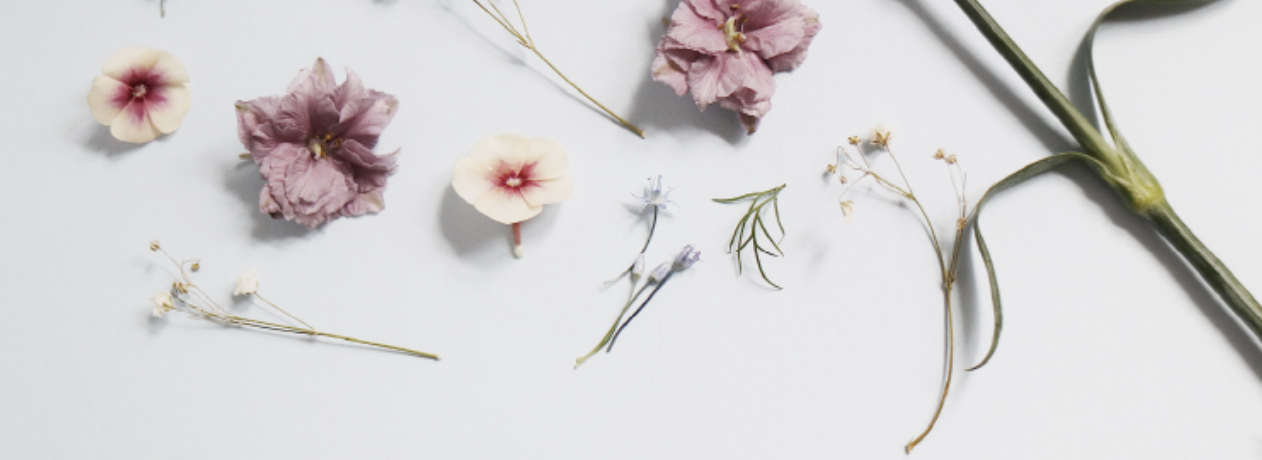 March Newsletter