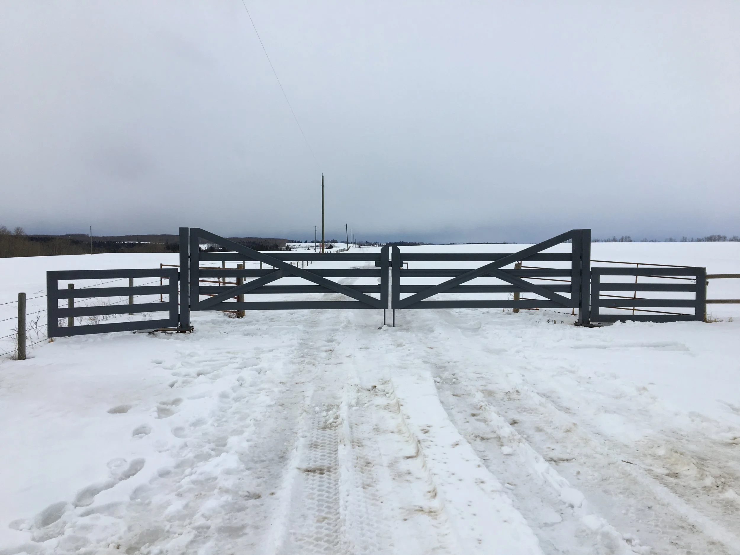 Yard Gate, Dual Swing