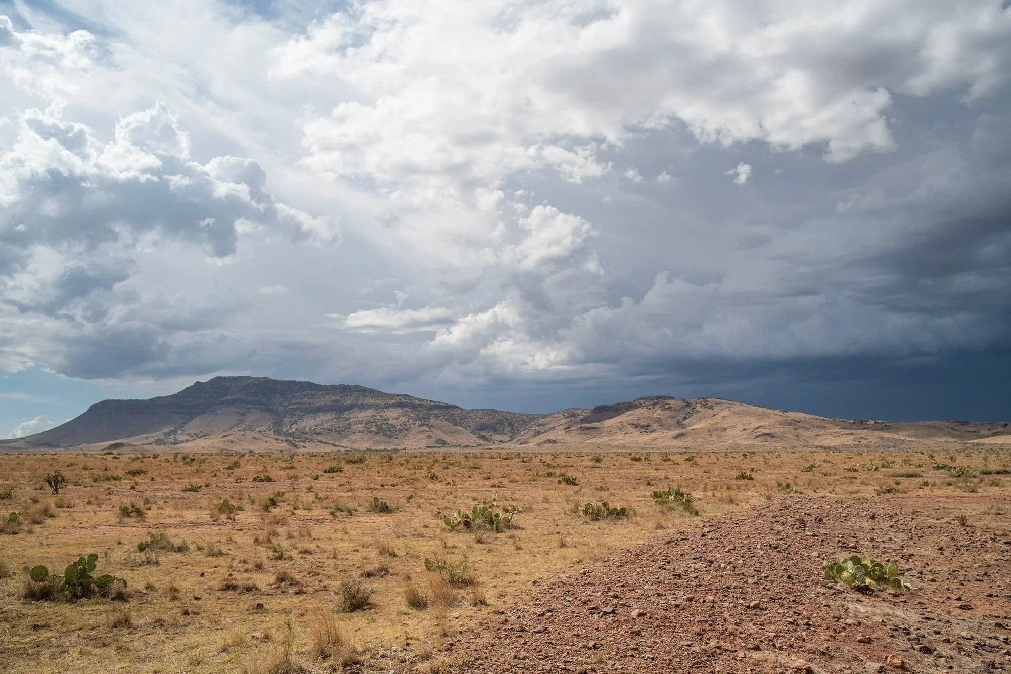 WTC_Davis+Mountains+Desert+Rain_4831.jpg