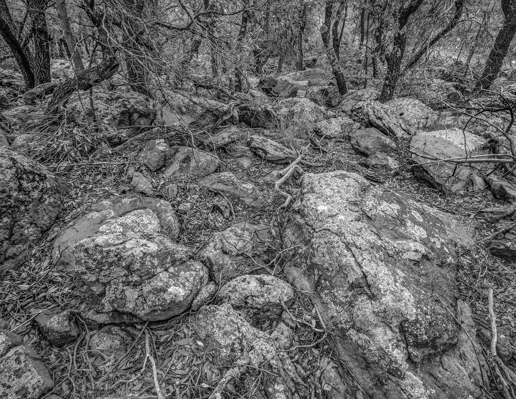 Tobe Canyon, Davis Mountains Preserve gs