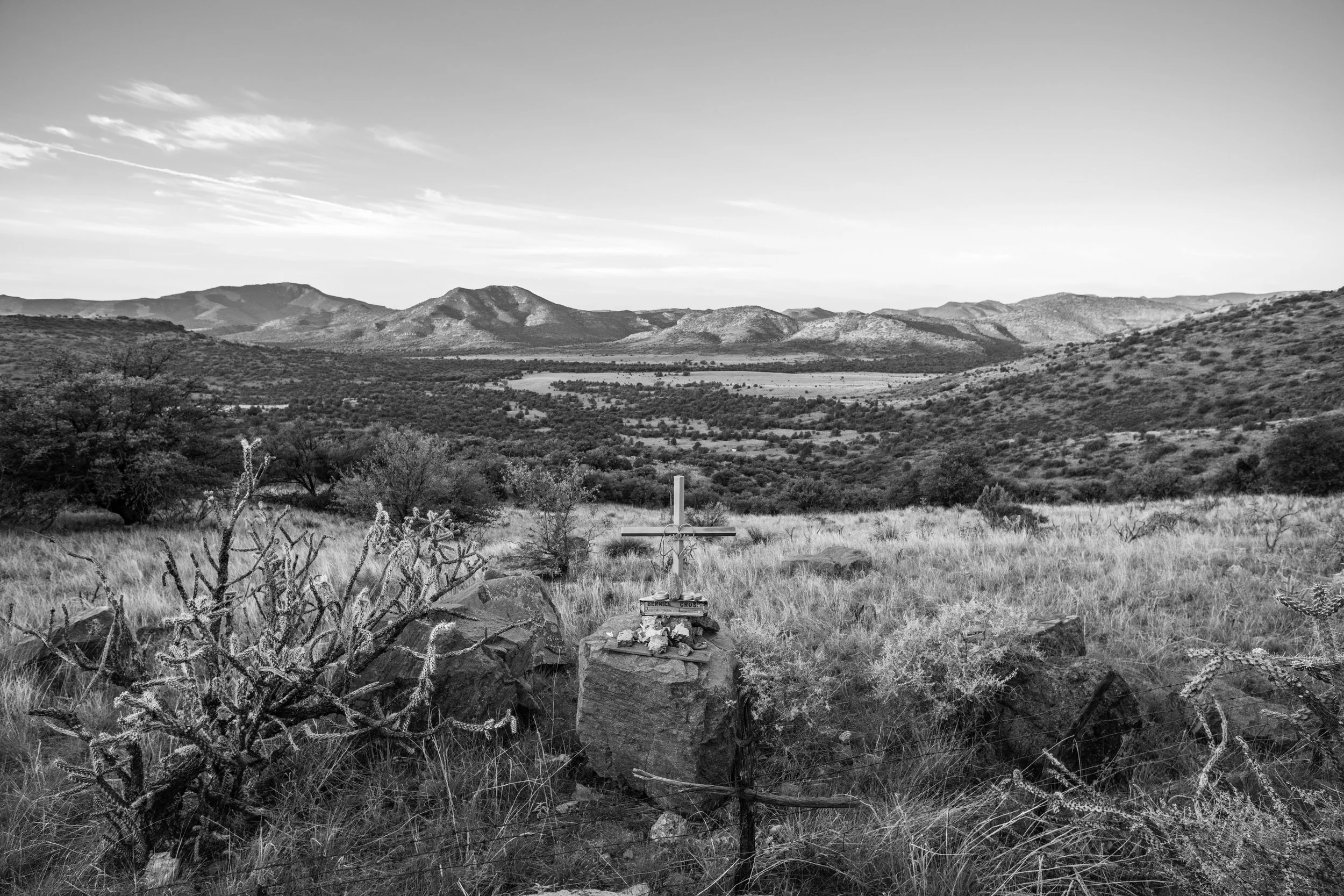 DMG_Roadside Cross_8030_2024.jpg