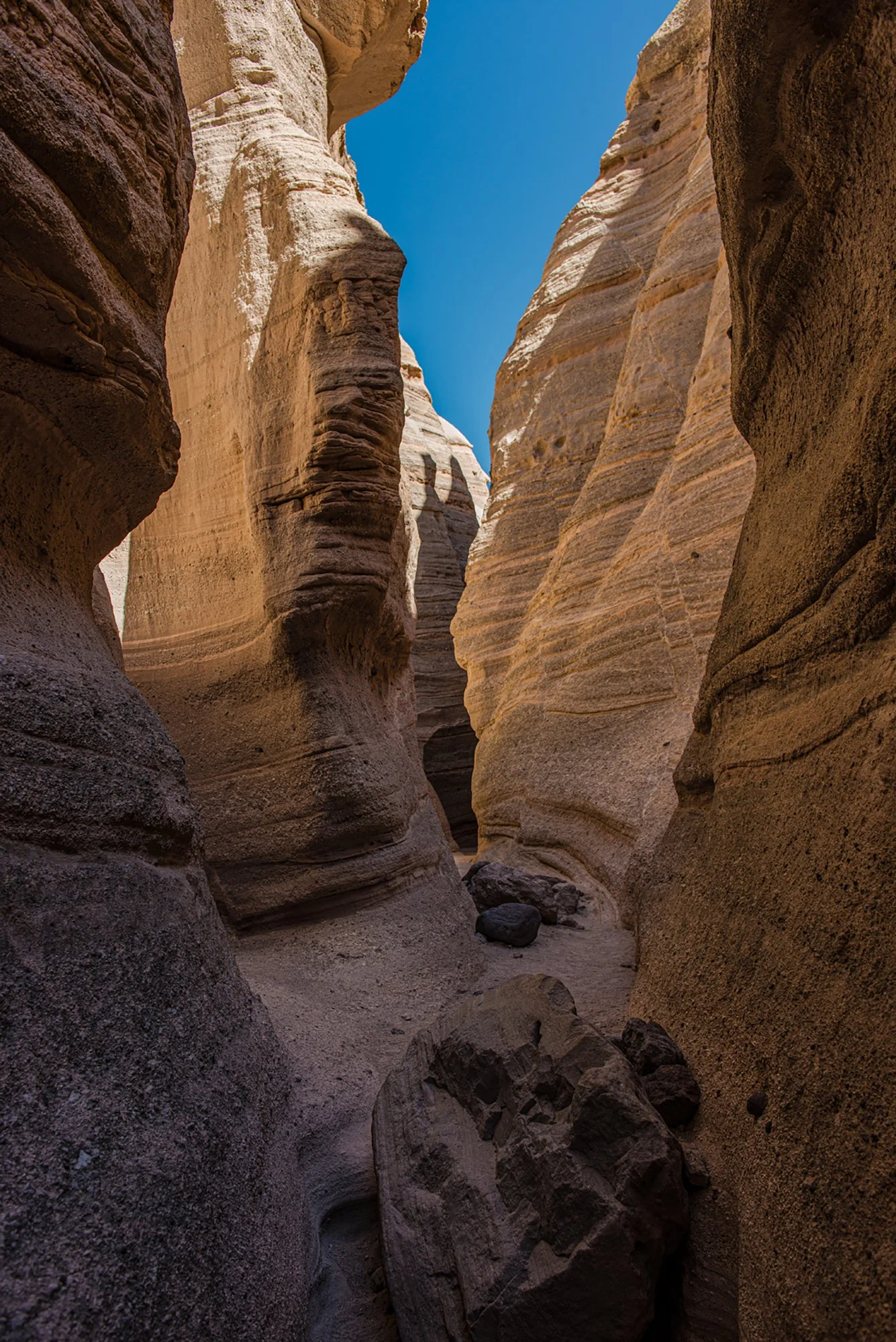 KKC_Vertical Forked Shadow__2980.jpg