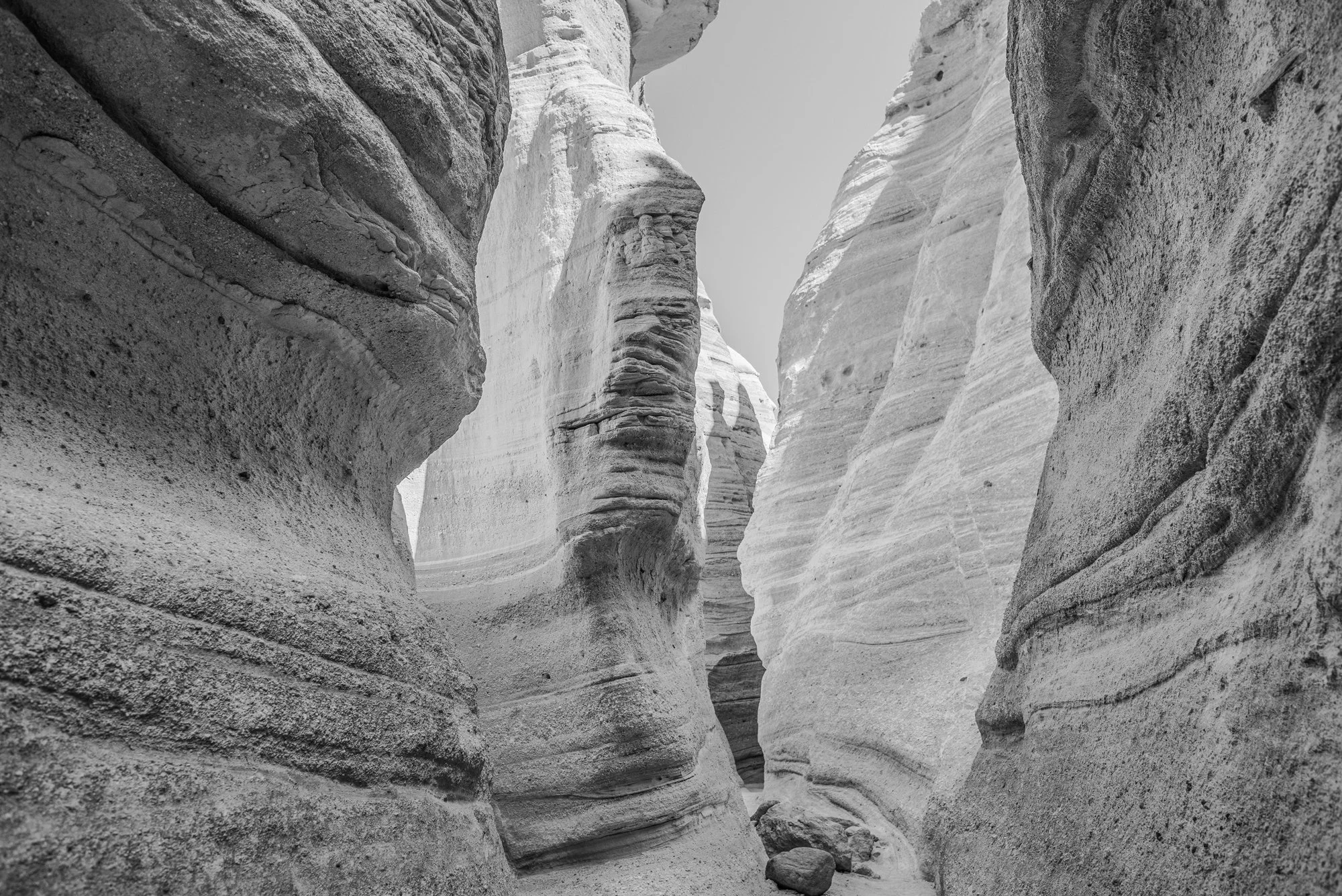 Forked Shadow, Kasha Katuwe gs2979