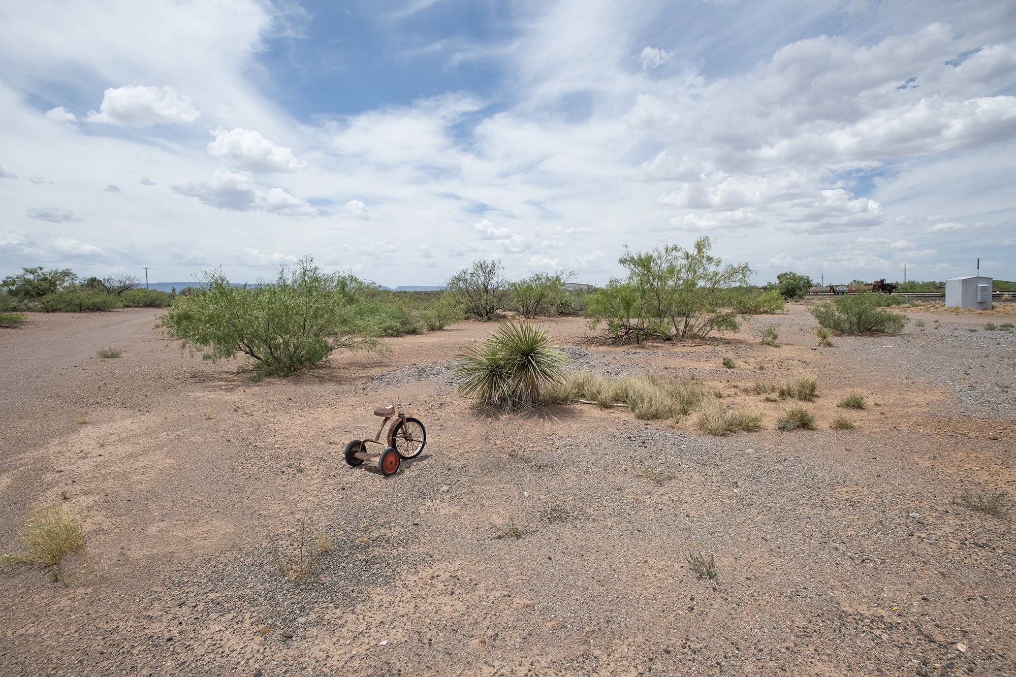 WTC_Valentine tricycle_8017.jpg