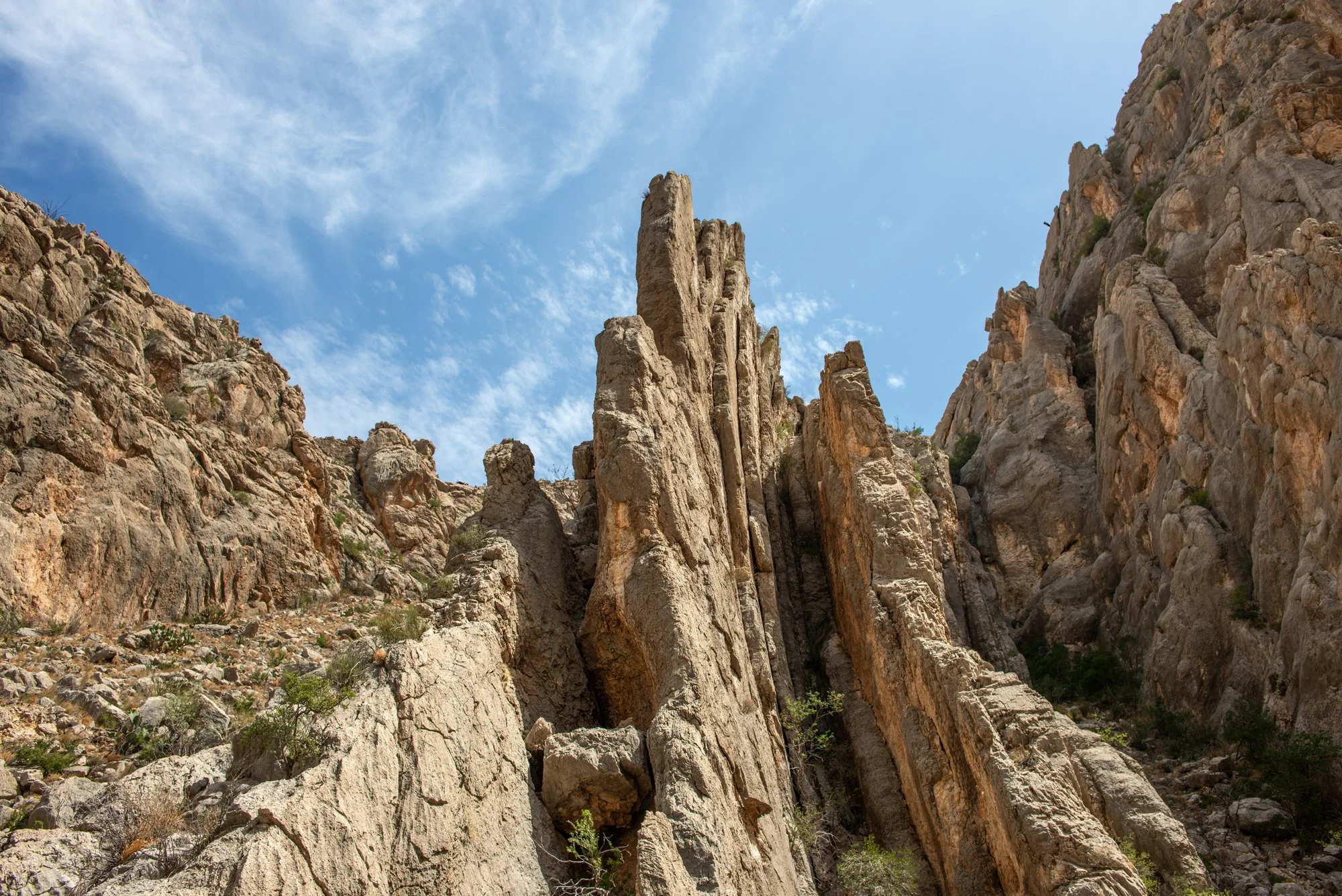 BBC_Dog Canuyon_8614.jpg