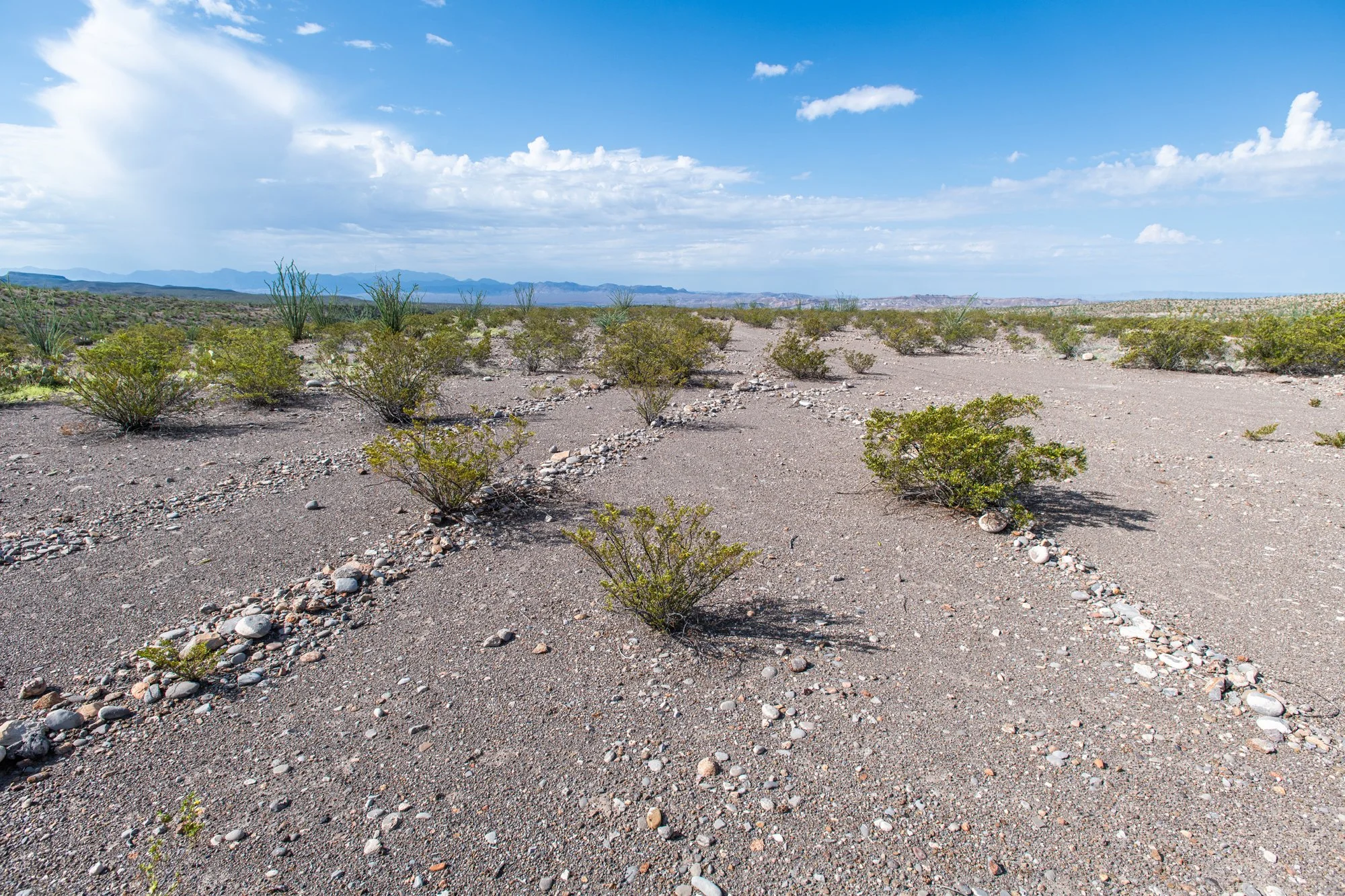 BBC_Desert Rocks_7791.jpg