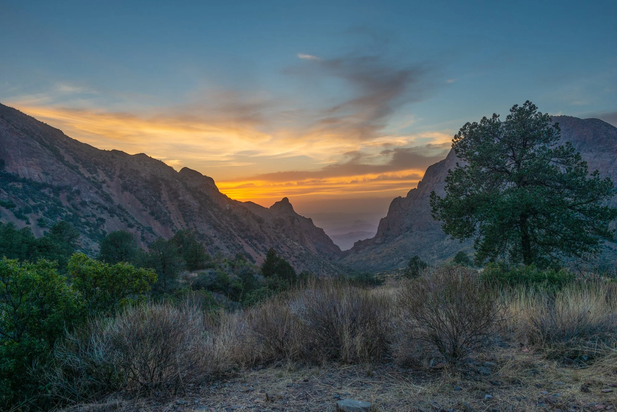 BBC_Twilight The Window_ 8624.jpg