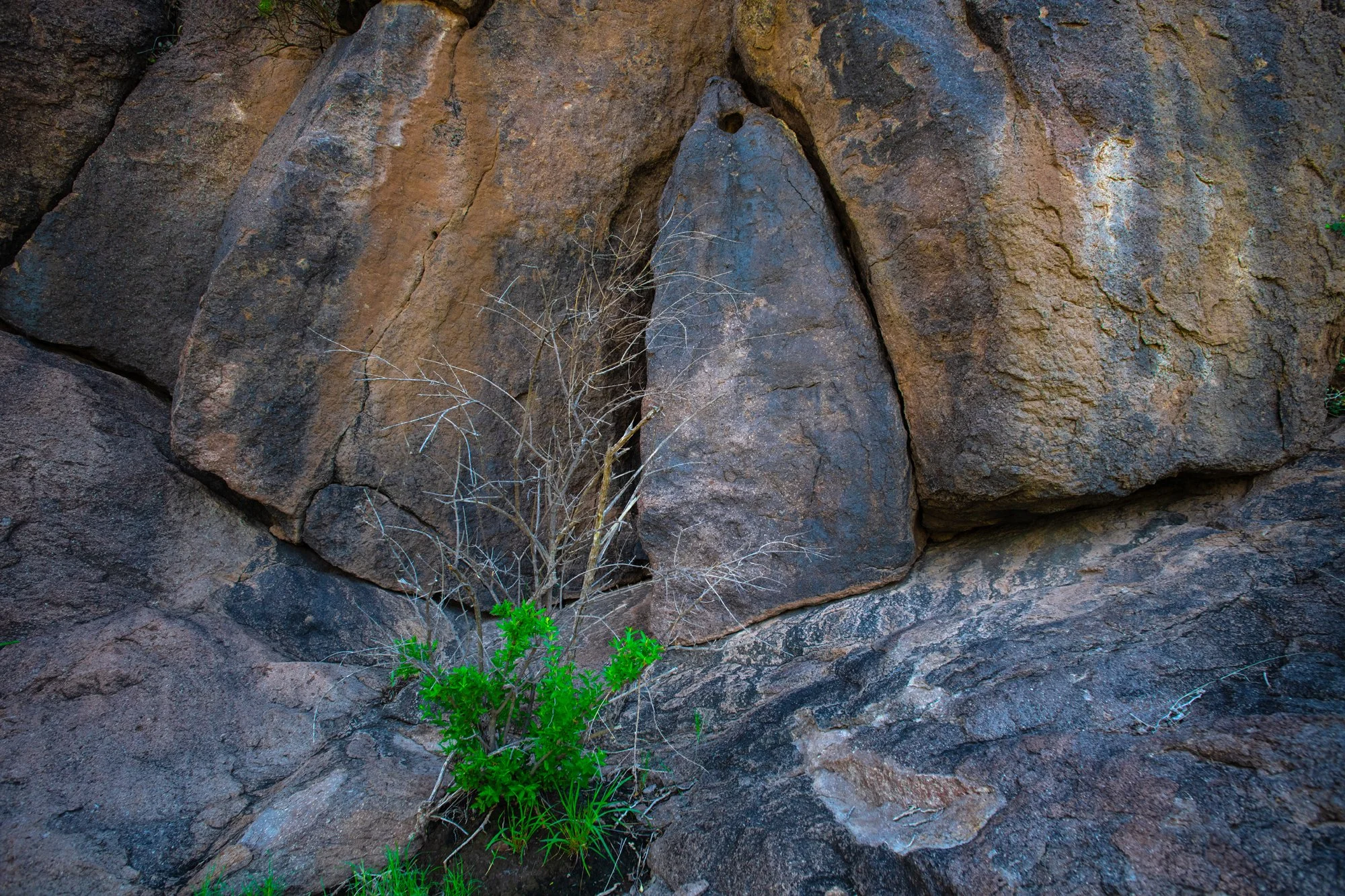 Untitled, Lithic 7911