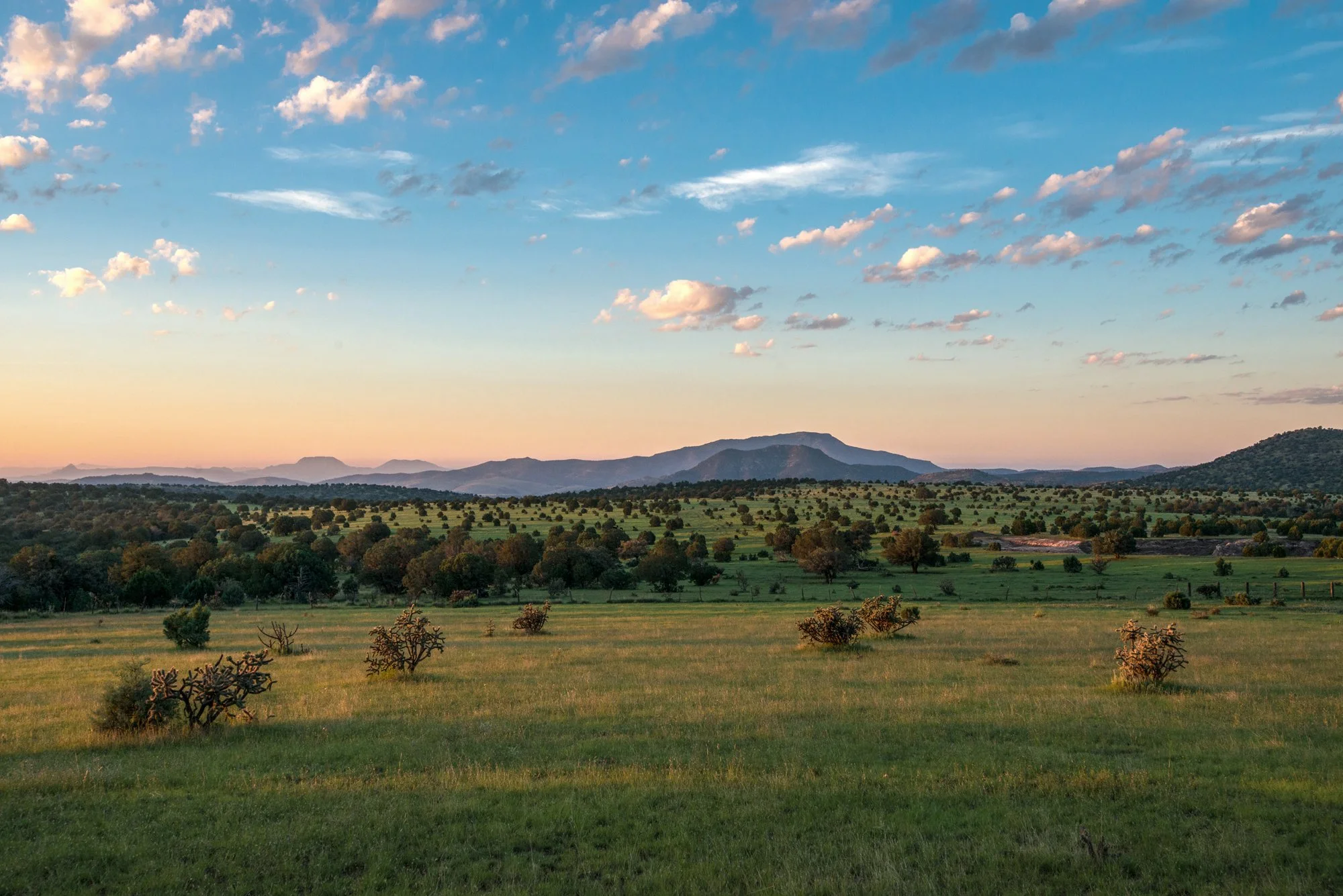 WTC_Davis Mountains Sunrise 1_9552.jpg