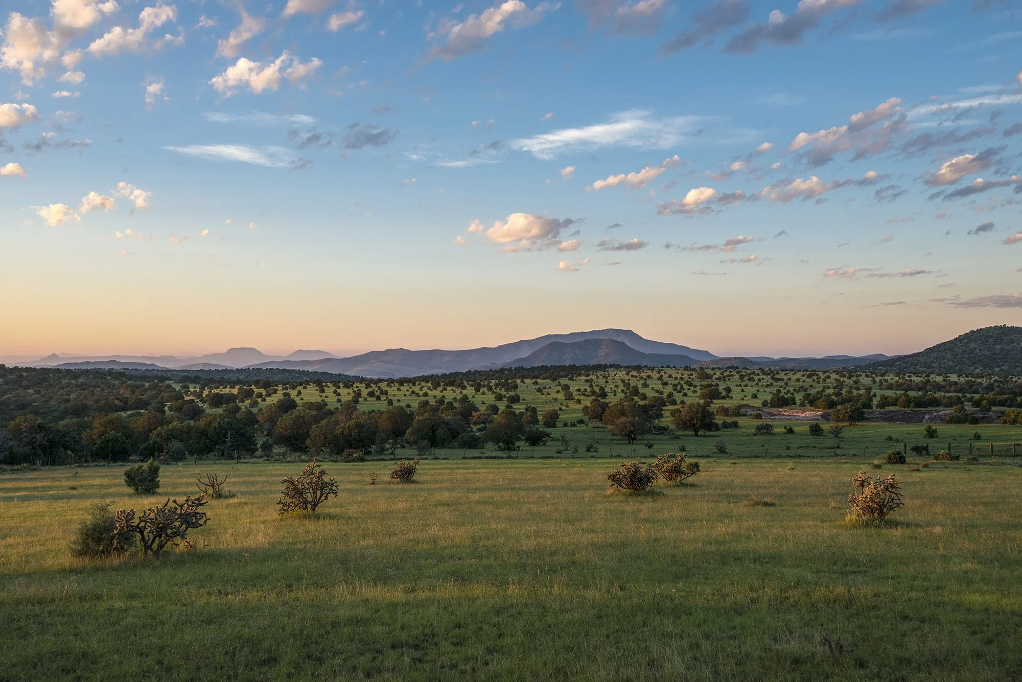 WTC_Davis Mountains Sunrise 1_9552.jpg