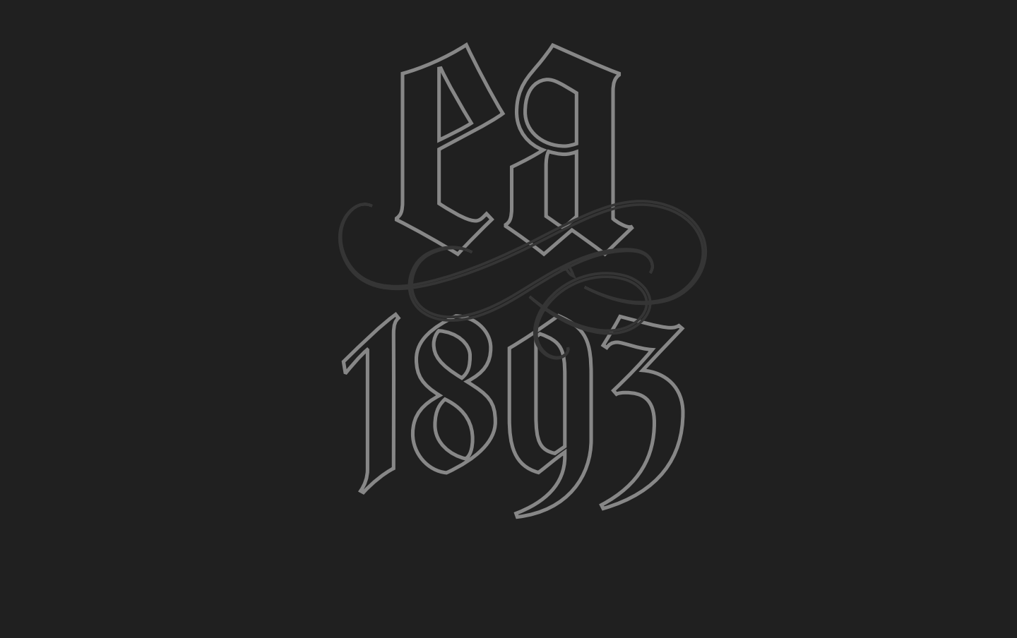 YOUTH LARGE - 'Onipa'a Peace March Shirt