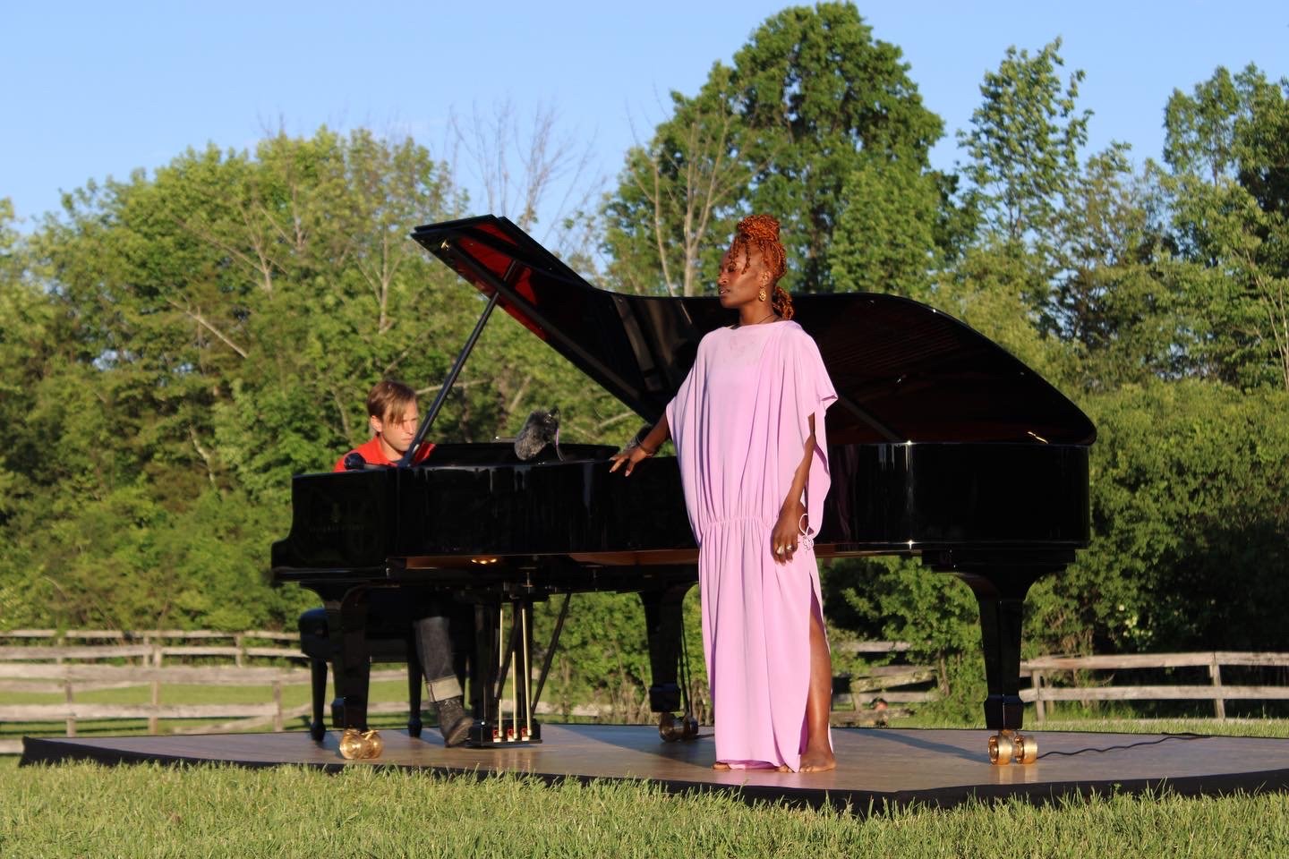 Coral Dolphin and In A Landscape