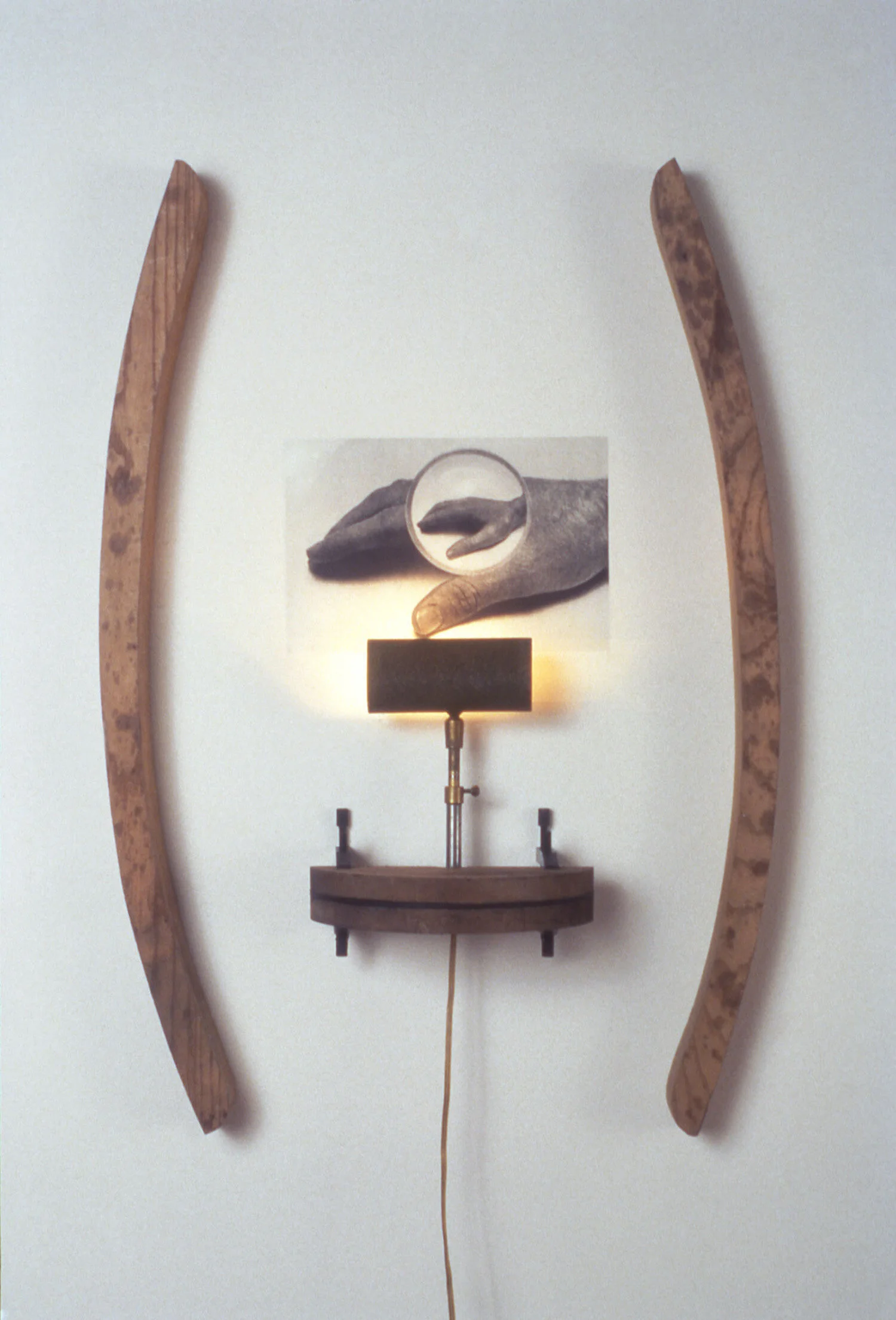 Exotropia, 1991 (detail)