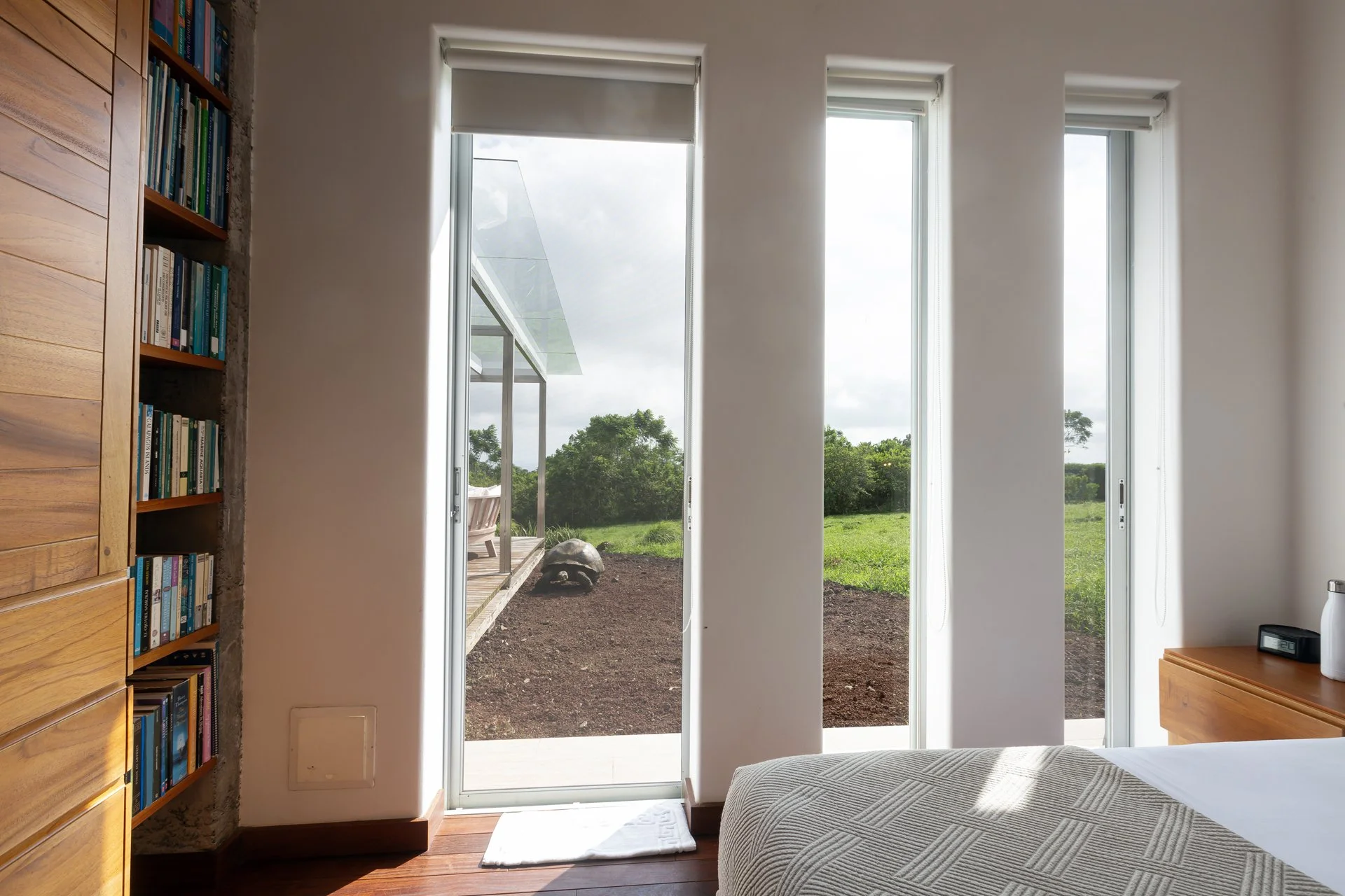 Indoor bedroom with wooden flooring, a bed with a beige blanket, a wooden nightstand with a clock and a water bottle, and three tall windows showing a grassy outdoor area with trees and a cloudy sky.