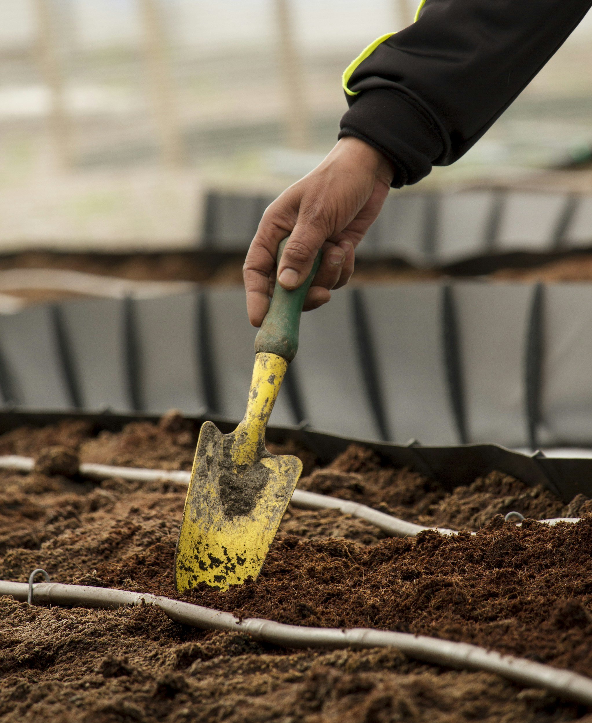 Composting 101 for DC Residents