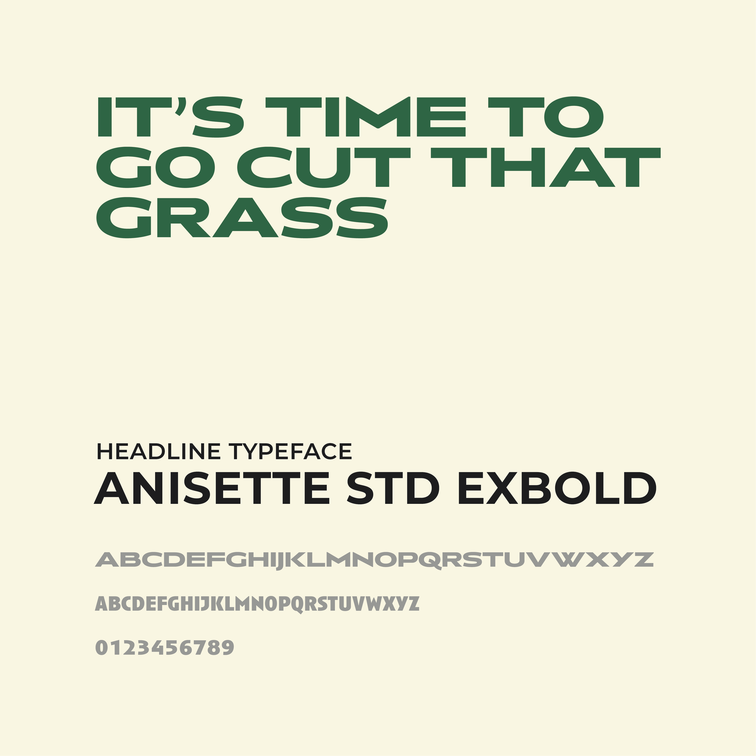 IAMBY_WEBSITE-ASSETS_THE-GRASS-MASTER_IAMBY_WORK_TGM_FONT-1.png