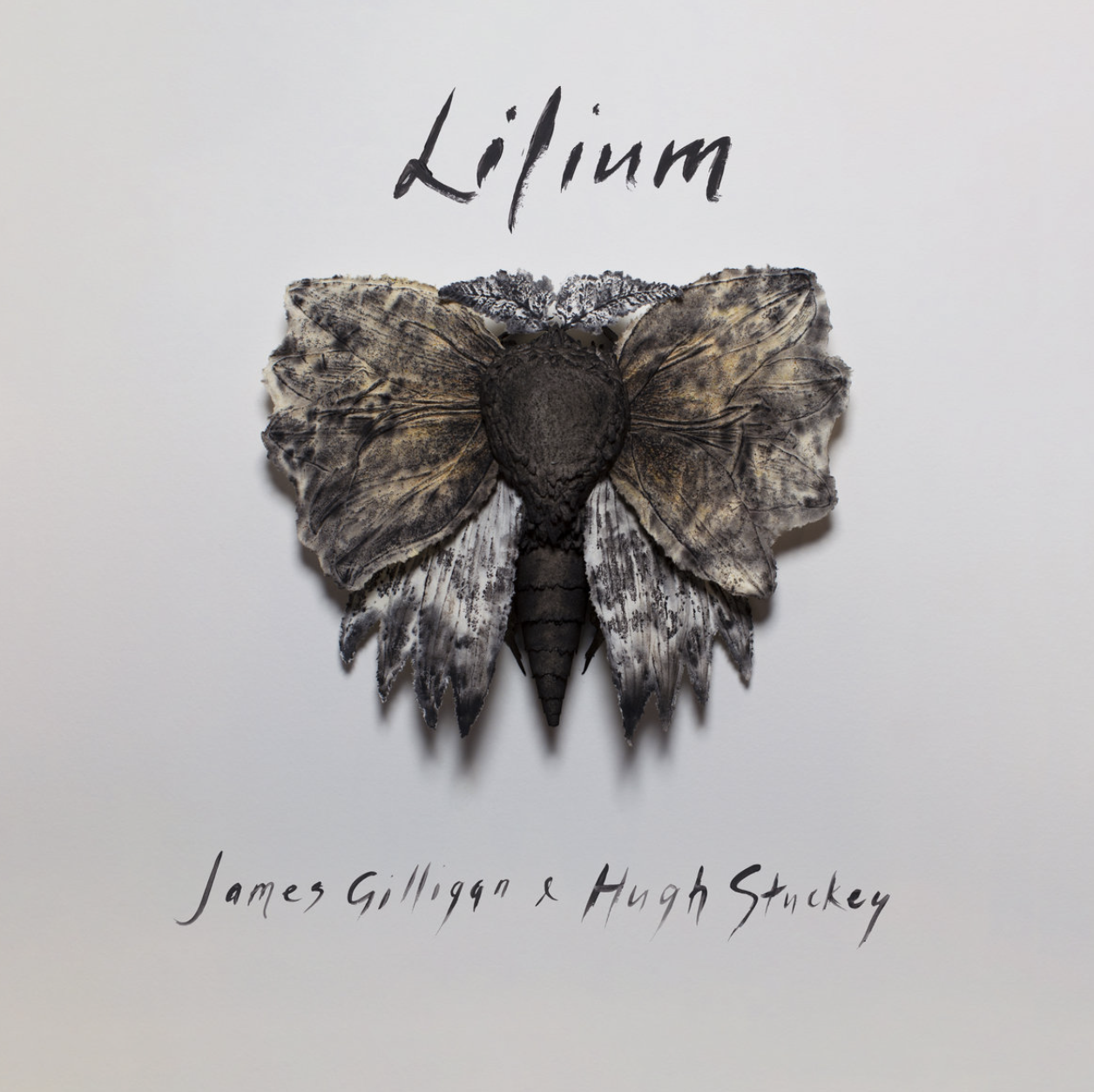 Lilium Recorded by James Yost at Reservoir Studios NYC March 2018
Mixed by Hugh Stuckey
Mastered by Lachlan Carrick at Moose Mastering
credits
released September 1, 2020

Hugh Stuckey - Steel String Guitar
James Gilligan - Contrabass Guitar

Artwork;