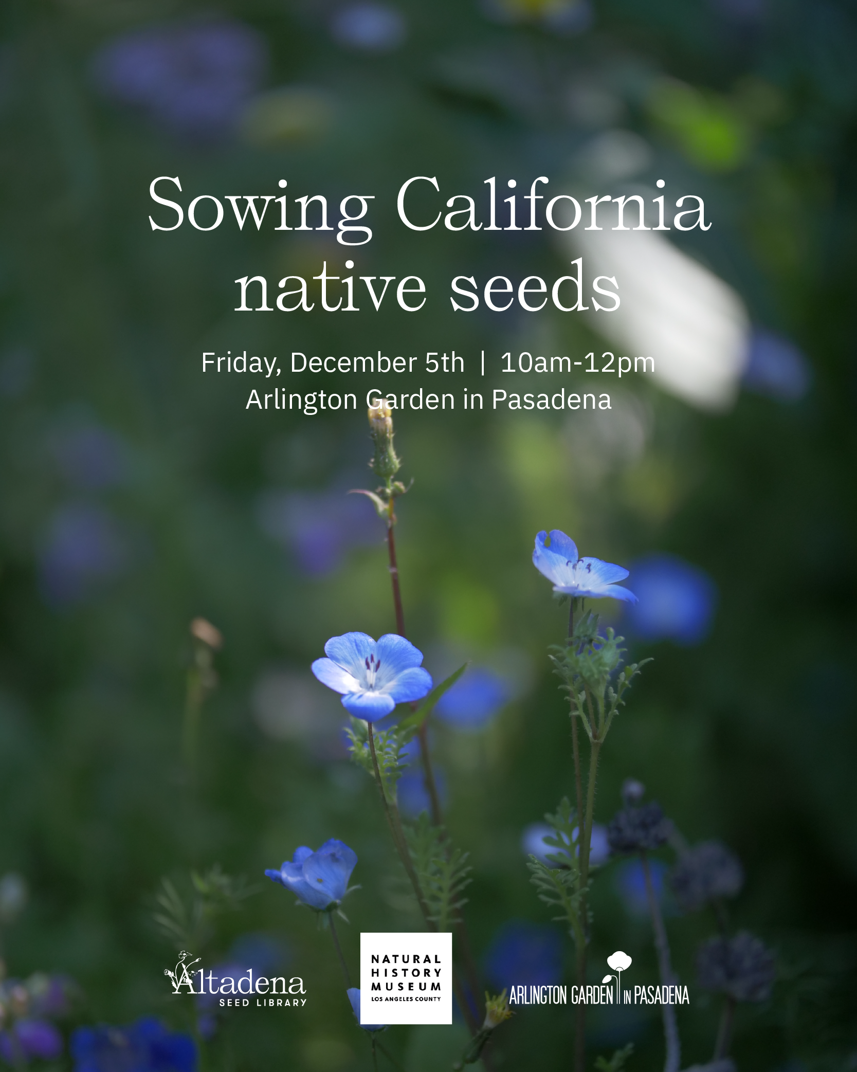 Sowing California Native Seeds