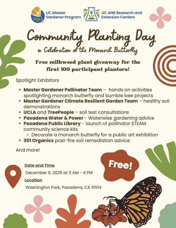 Community Planting Day Festival