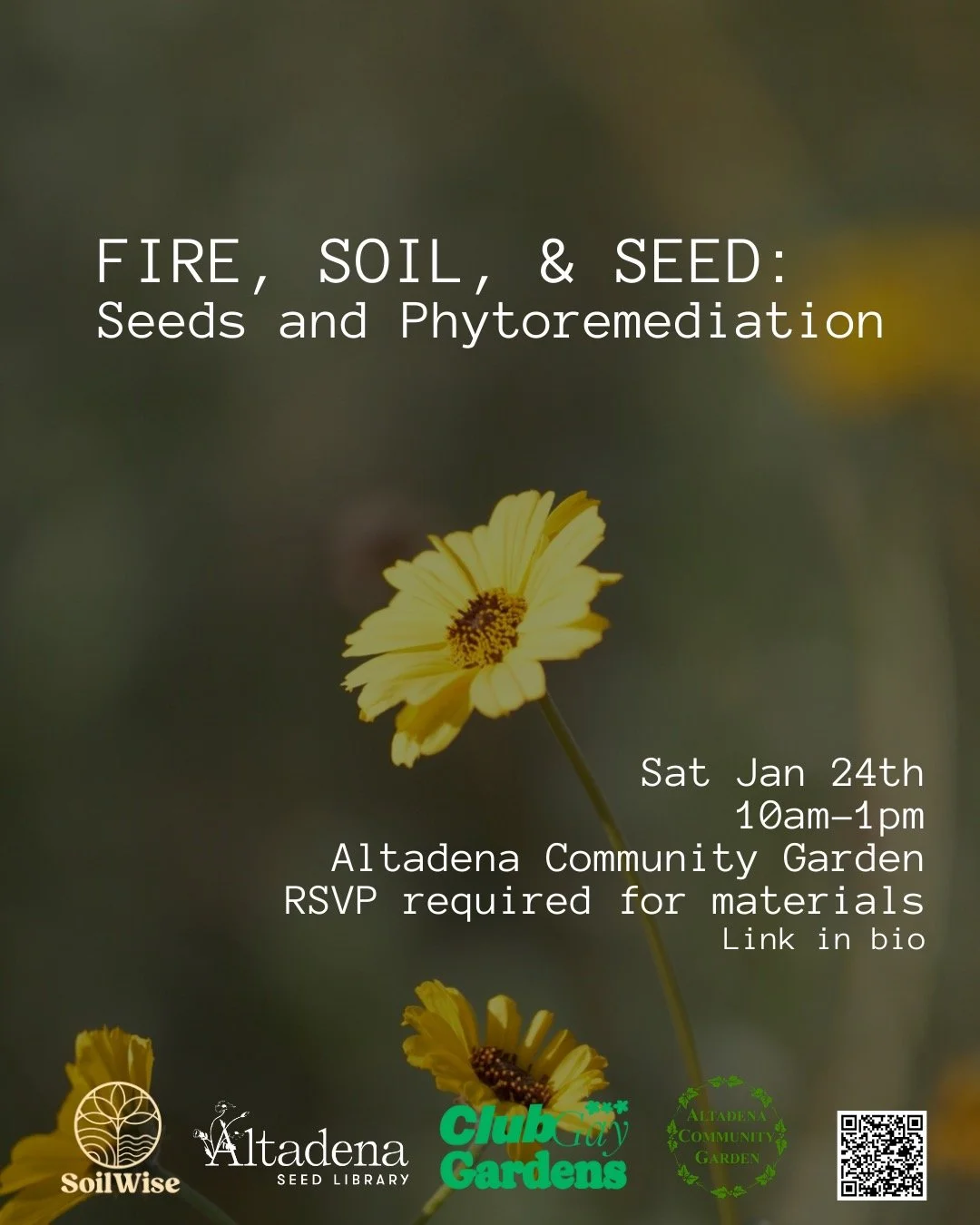 Fire, Soil, and Seed: Seeds and Phytoremediation
