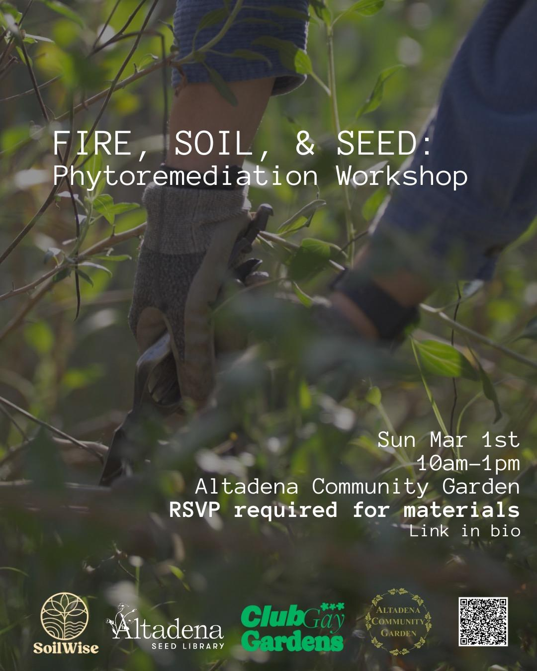 Phytoremediation Workday