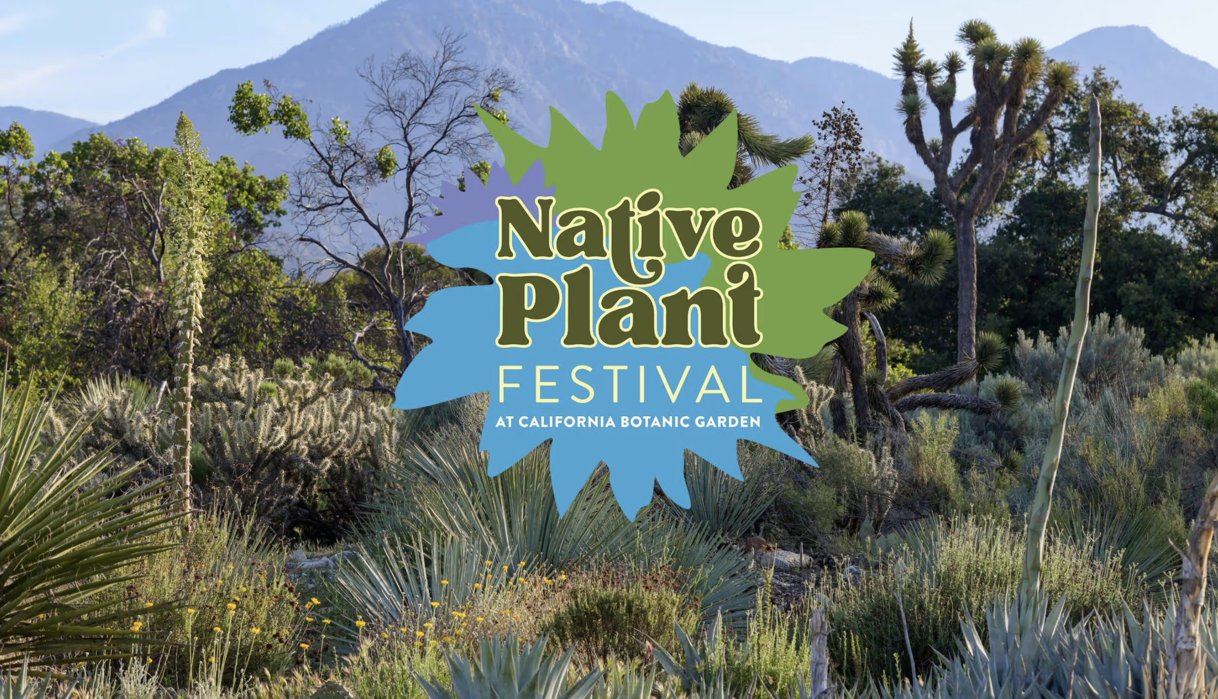  CalBG Native Plant Festival