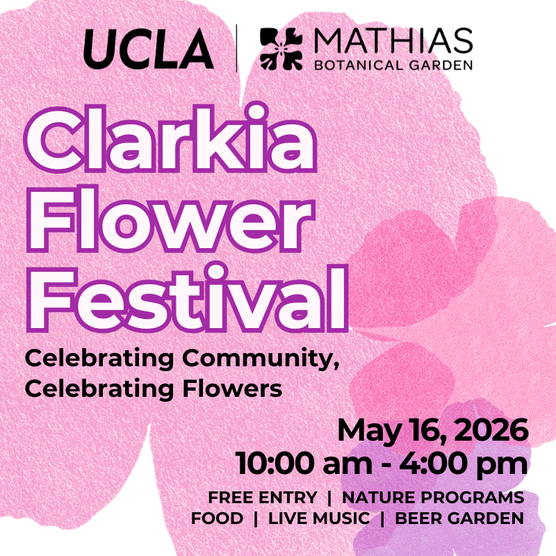 UCLA Clarkia Festival