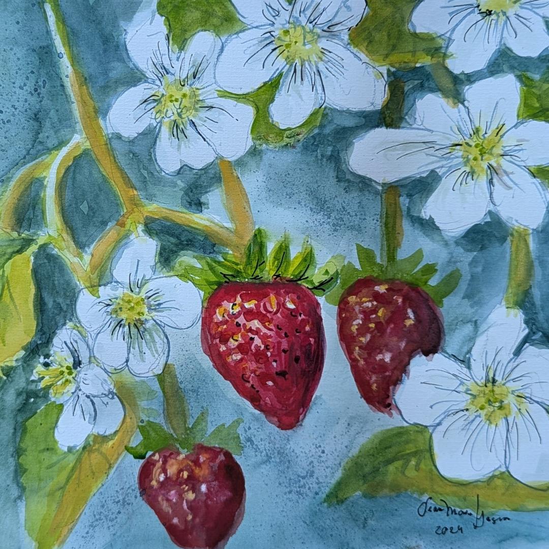 Fraises
