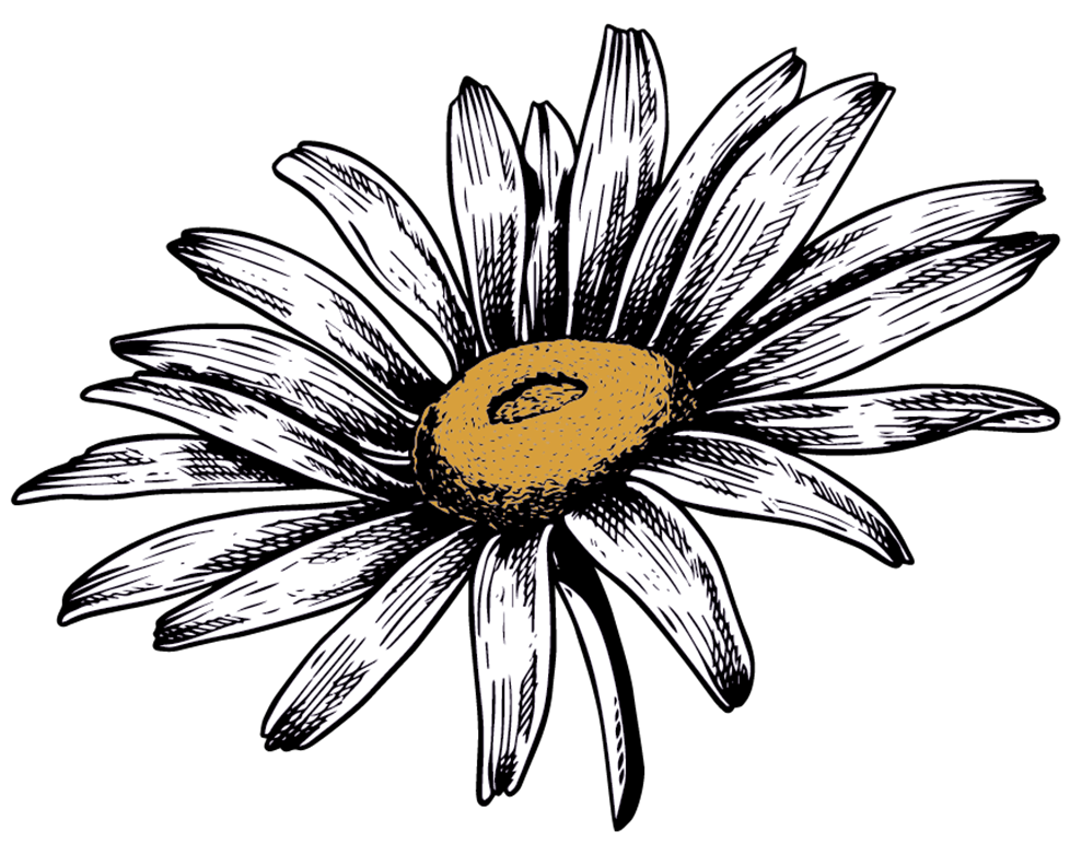 Margarita&#39;s Flowers