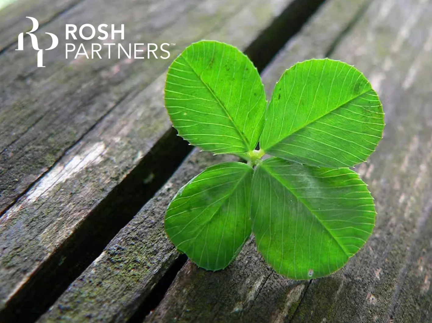 Good luck to all our clients heading to auction this weekend. Our fingers are crossed for you. If you need anything last-minute, we&rsquo;re here.
admin@roshpartners.com.au