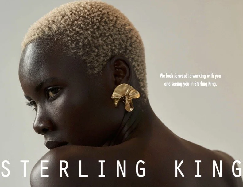 sterling-king-influencer-posting-guidelines11.jpg