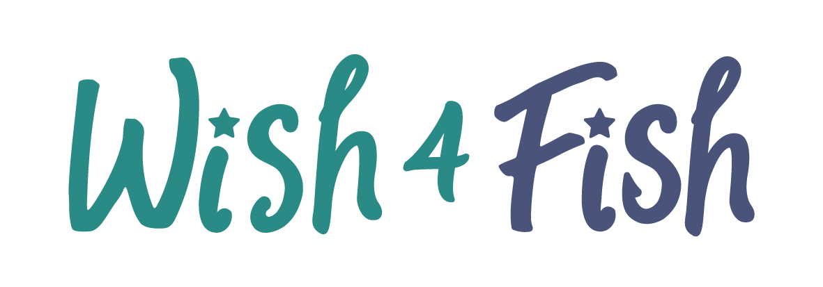 Community Support — Smith Tour Company