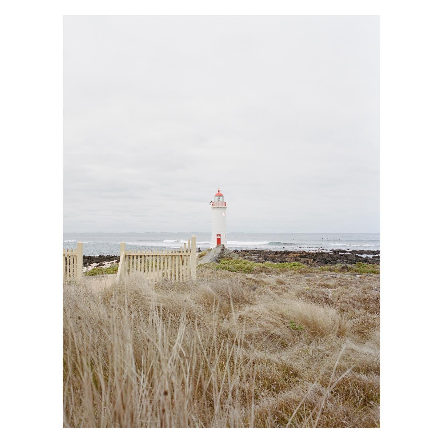 Lighthouse love affair continues ~ the rugged Port Fairy coast on film 🐋🎞️