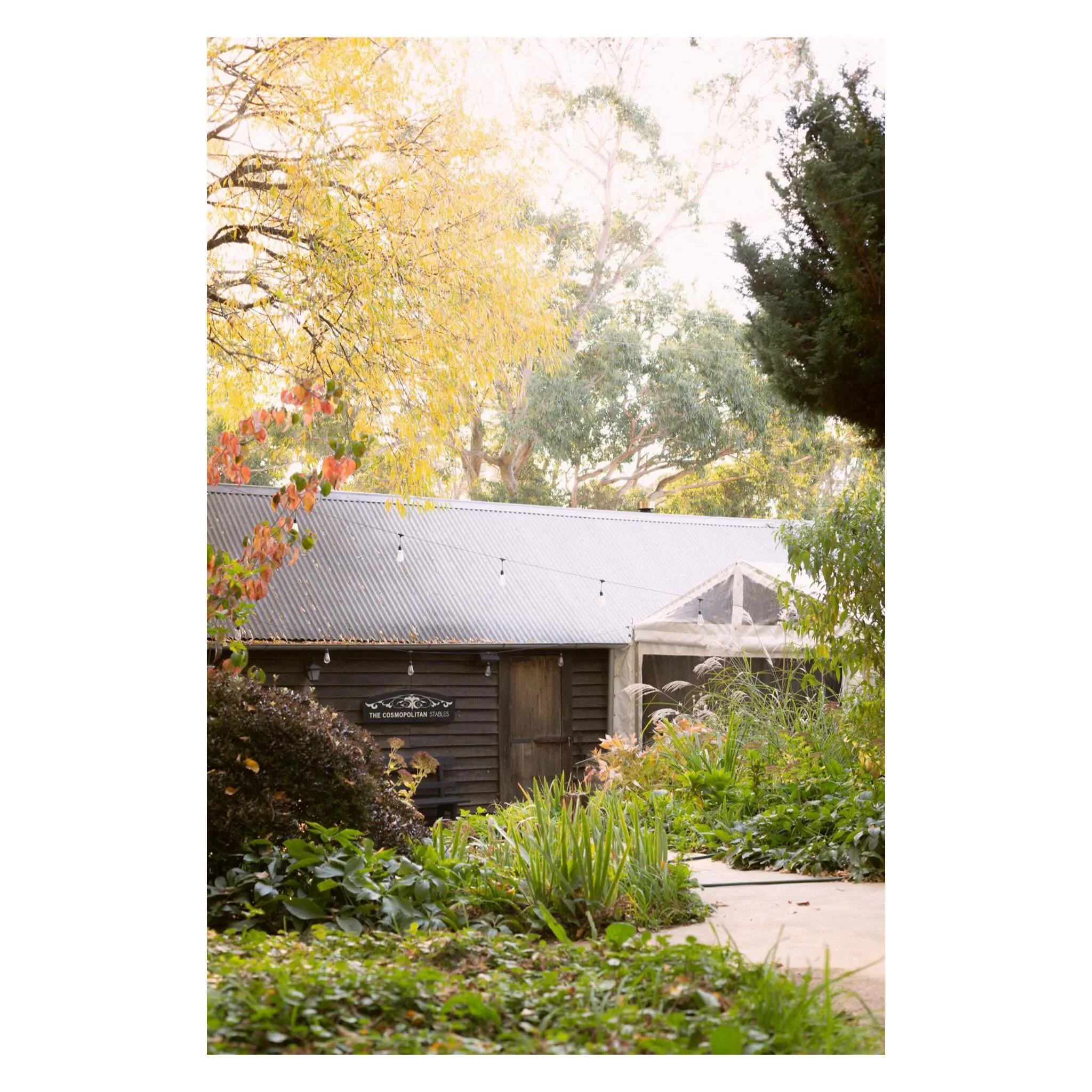 Local legend @thecosmopolitanhotel in some divine slices of autumn light 🍂 

Available for gigs, weddings, and of course a good feed❣️ 

🏷️ Central Victoria Photographer