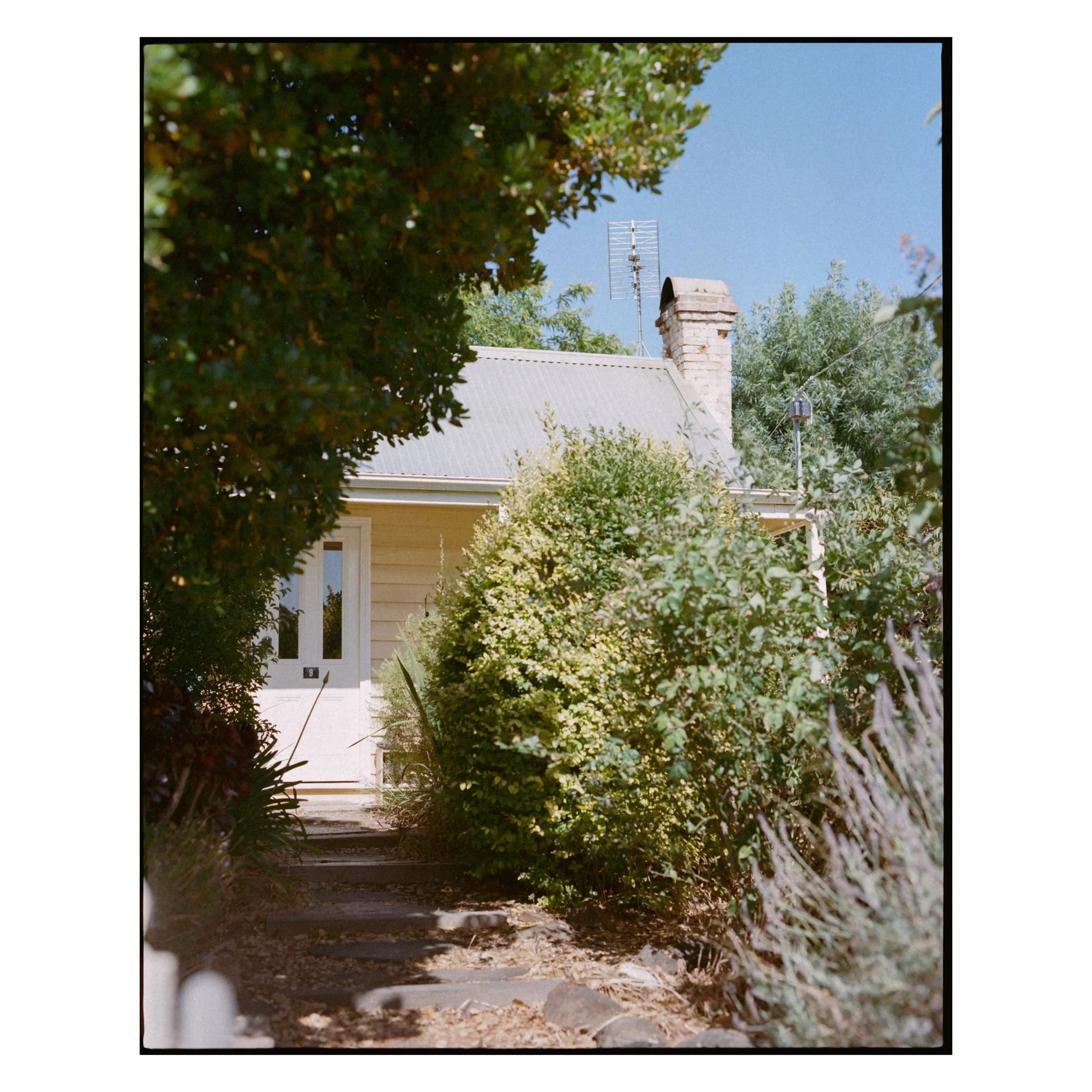 As we gear up to leave our first home, I couldn&rsquo;t resist digging out the many photos taken finishing off film rolls. How lucky to have an archive of this special place and time.