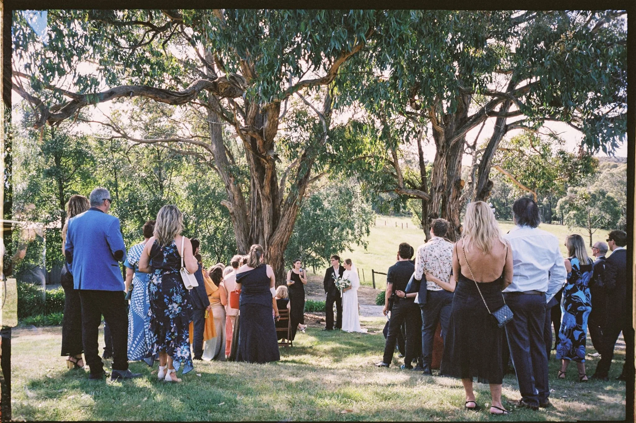 Outdoor wedding ceremony with guests gathered on grass, facing a couple standing in front of large trees, the bride in a white dress and the groom in a dark suit.