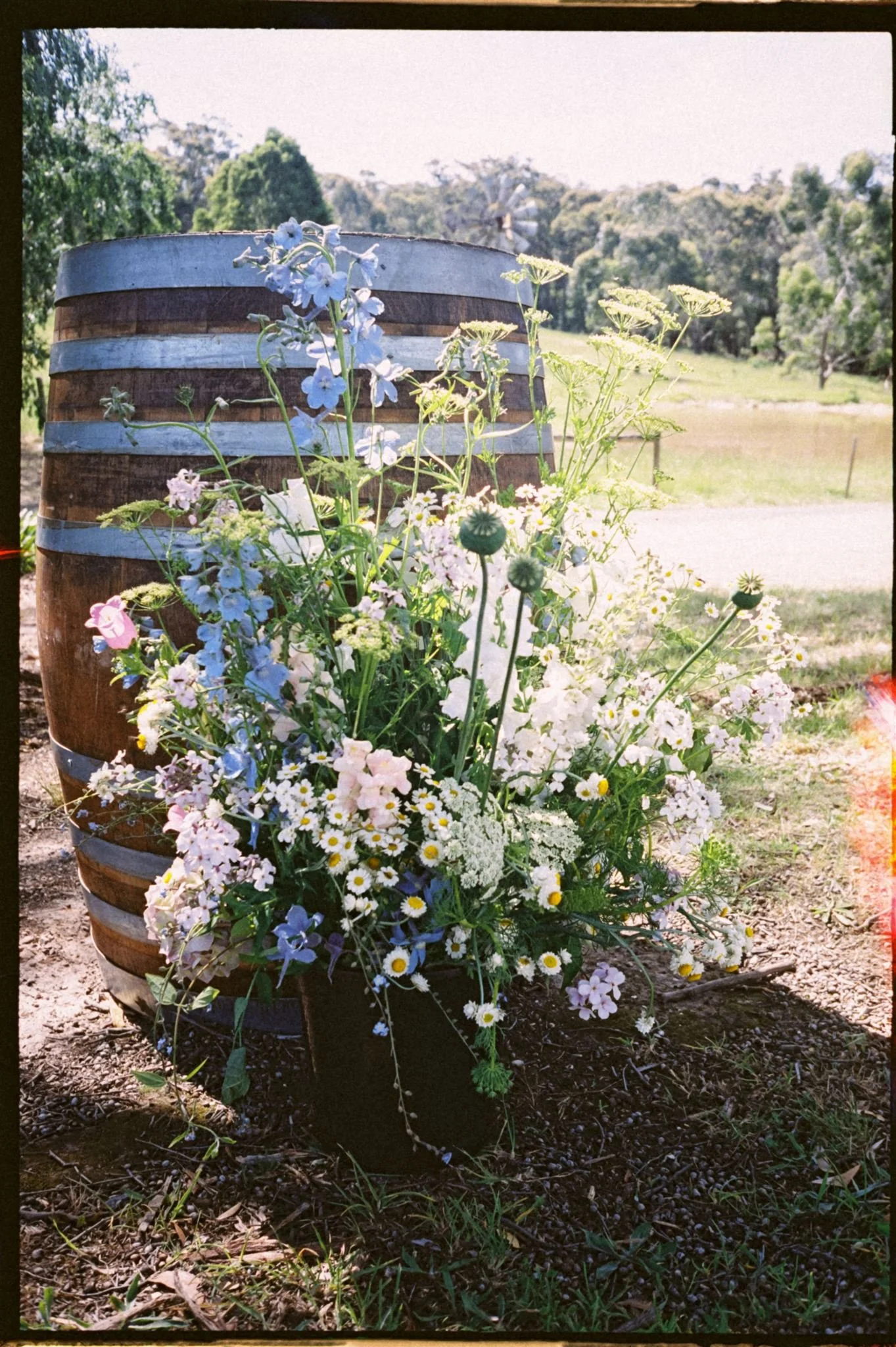 A bouquet of mixed flowers with white, pink, blue, and yellow blossoms in front of a wooden barrel outdoors, with trees and a grassy landscape in the background
