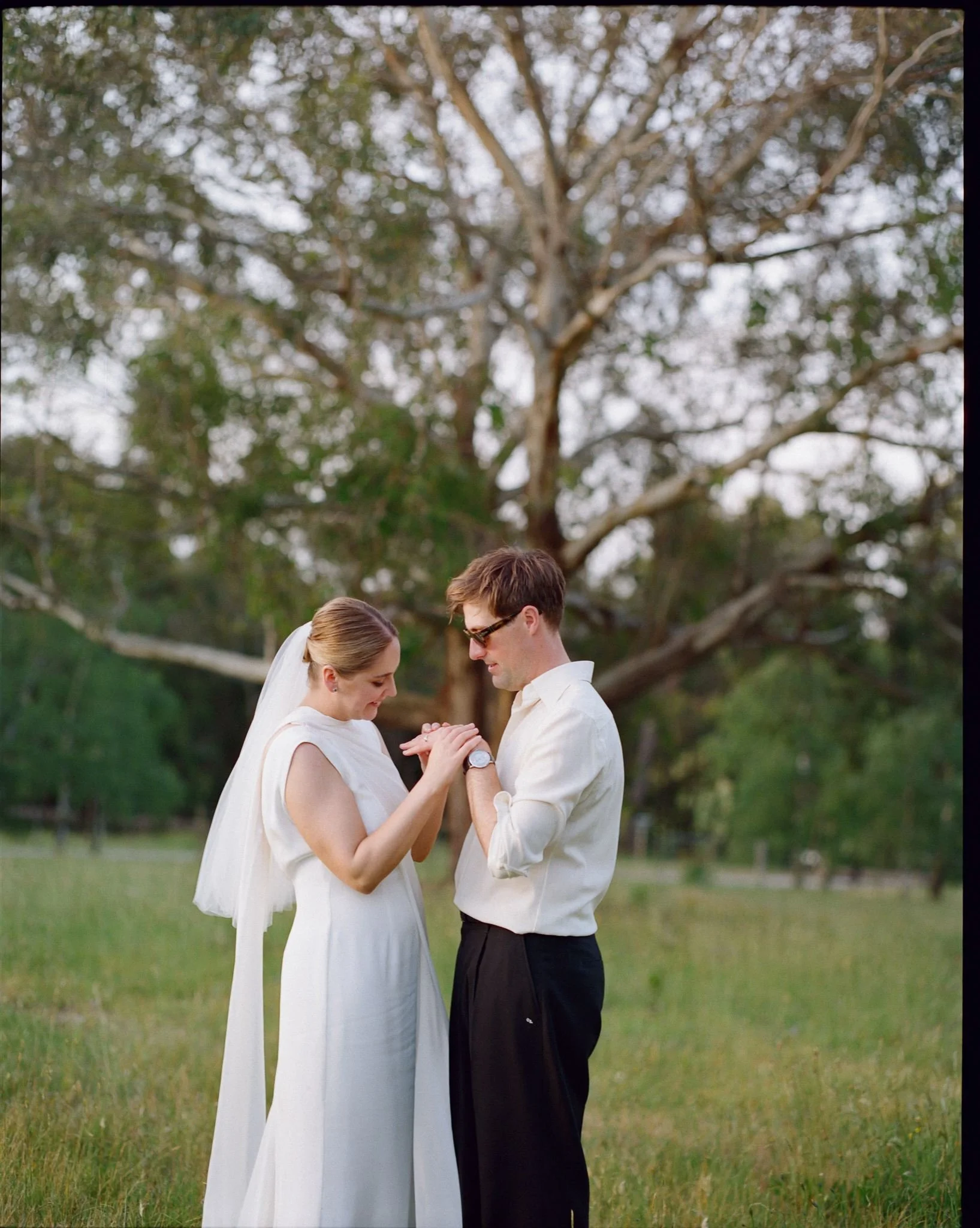 A bride and groom stand in a field together, they are looking at the grooms wedding ring and there is a tall tree in the background. 