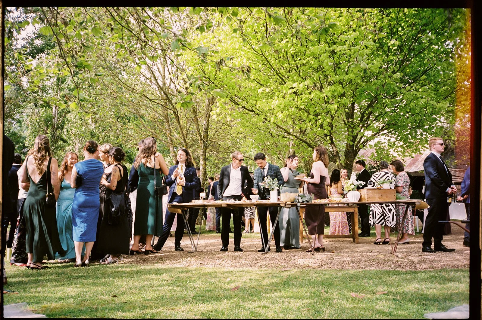Wedding guests gather at an outdoor reception, there is a long table with platter items. 