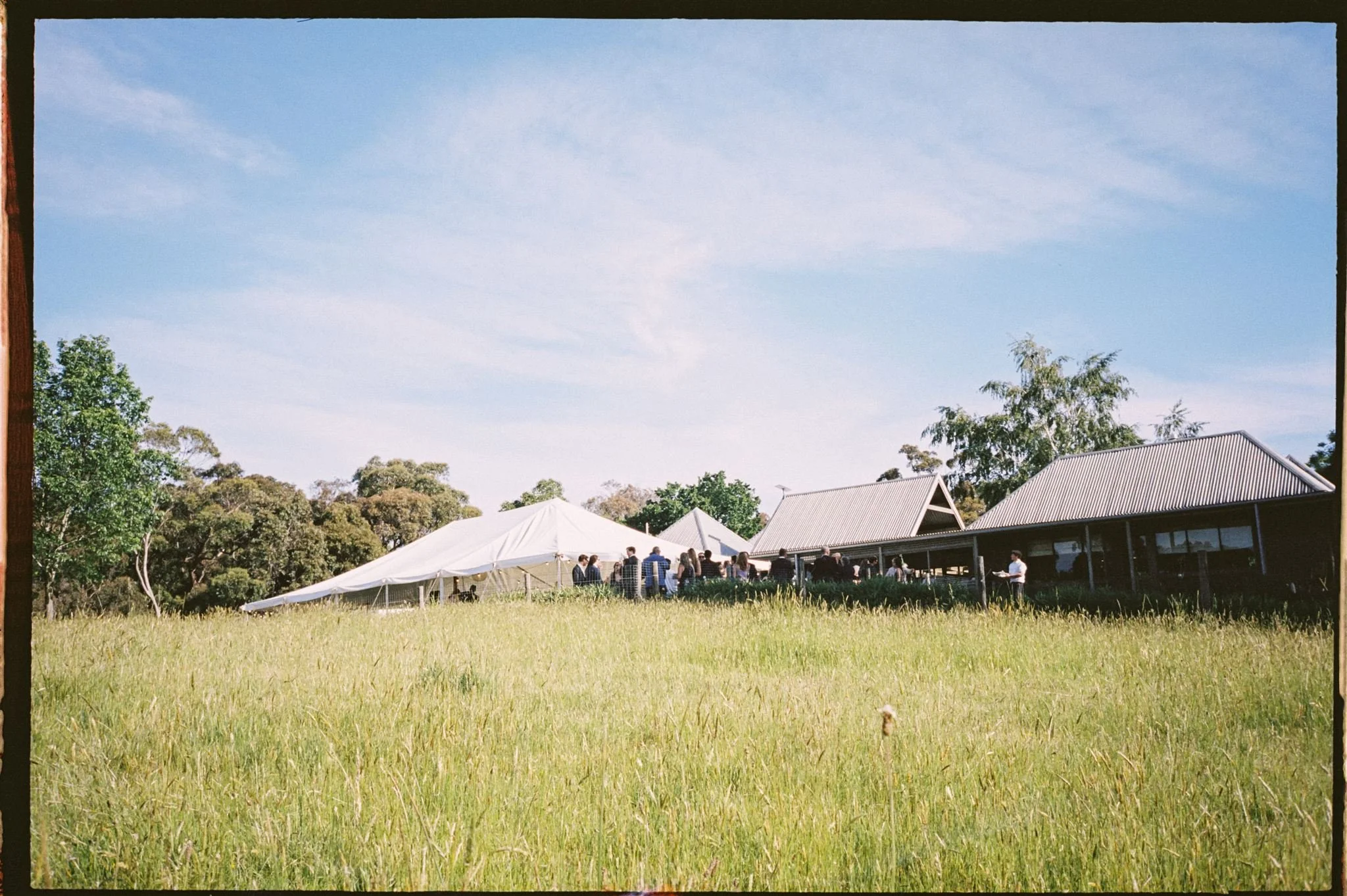 Outdoor wedding with a group of people gathering under a white tent on a grassy field, with surrounding trees and modern buildings with sloped roofs in the background under a blue sky.