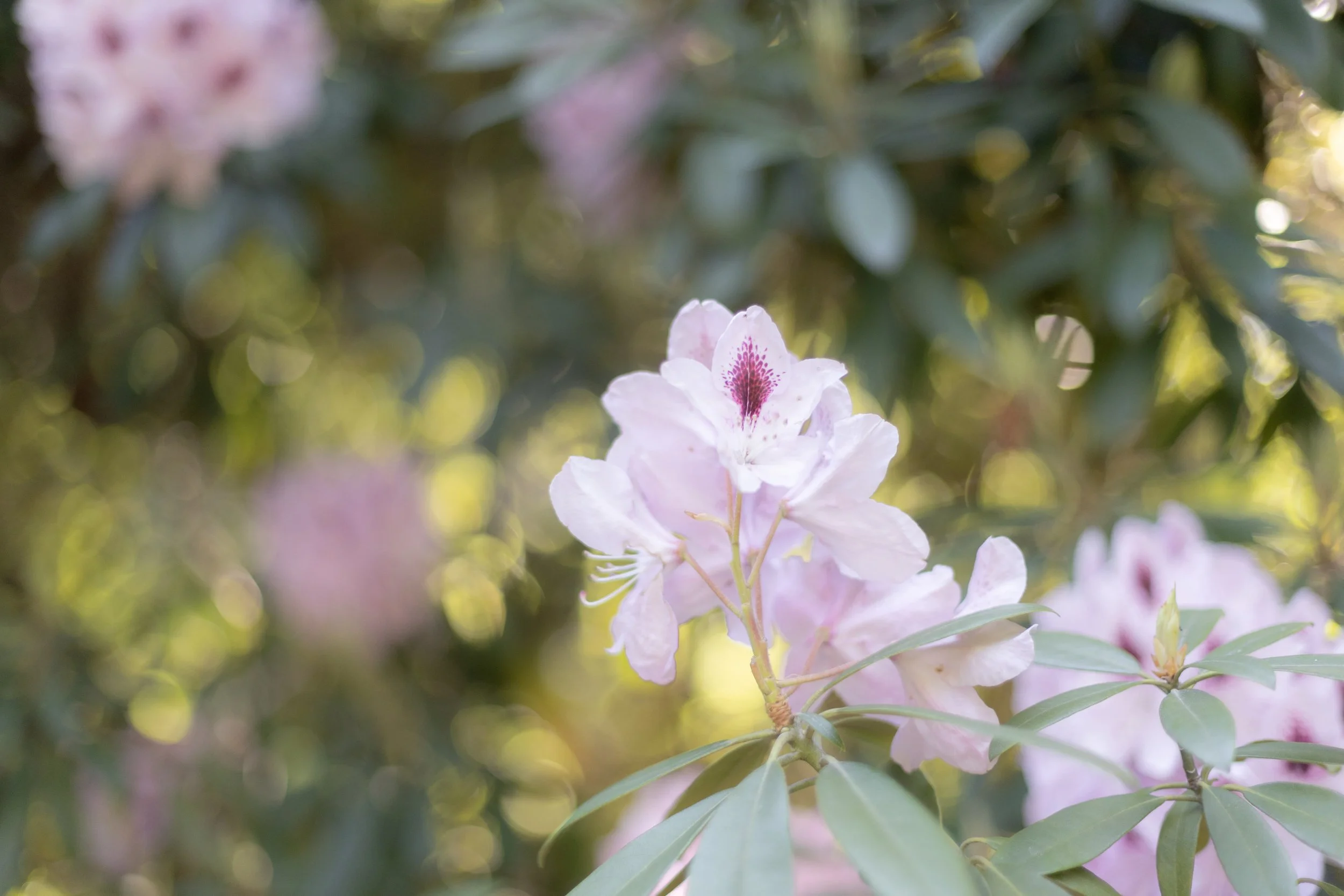 Melbourne wedding photographer | Jen Tighe Photo