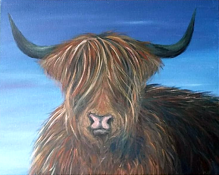 Highland Cow